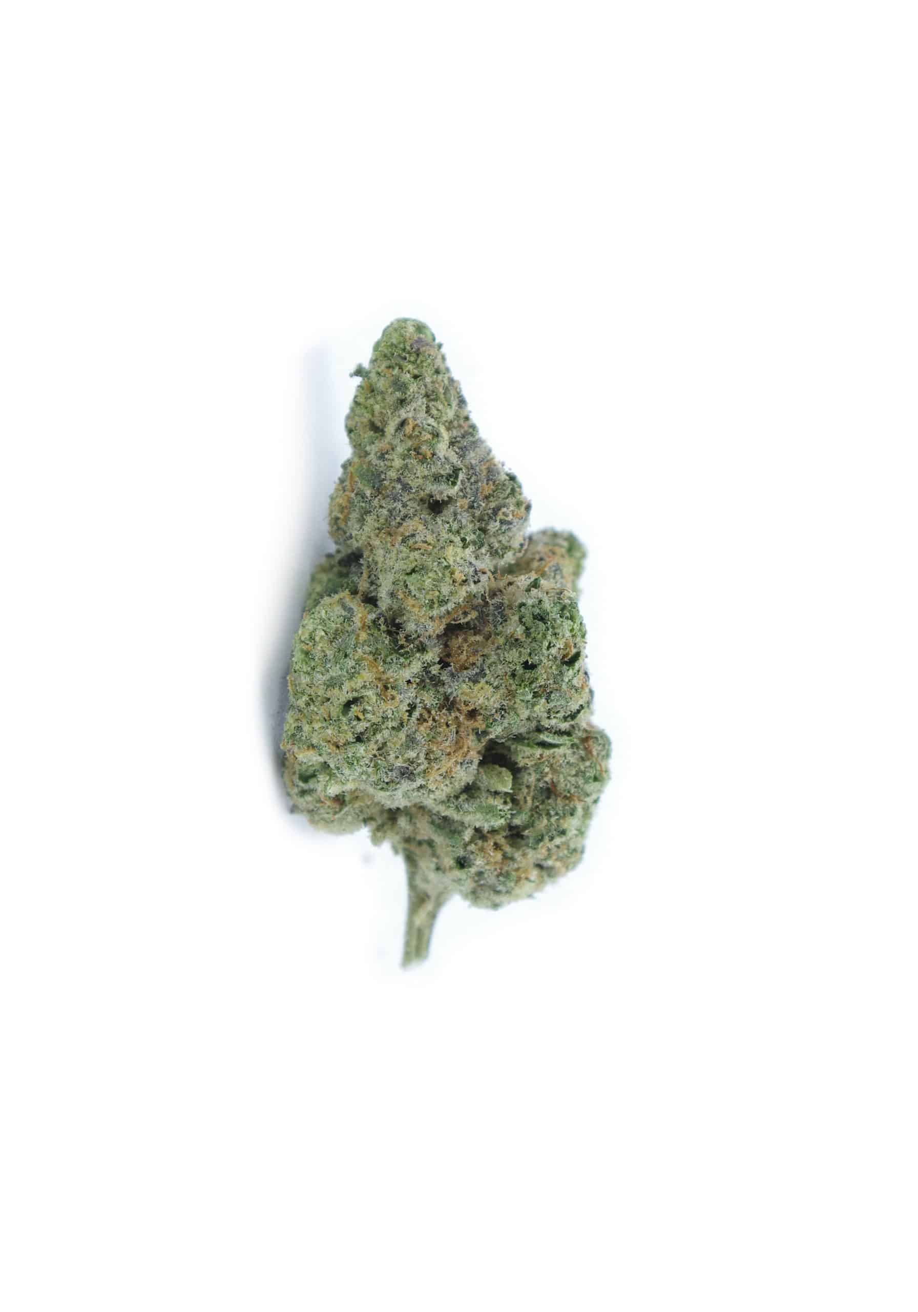 Ice Cream (Ounce Special) Hybrid anxiety Ice Cream (Ounce Special) Hybrid anxiety