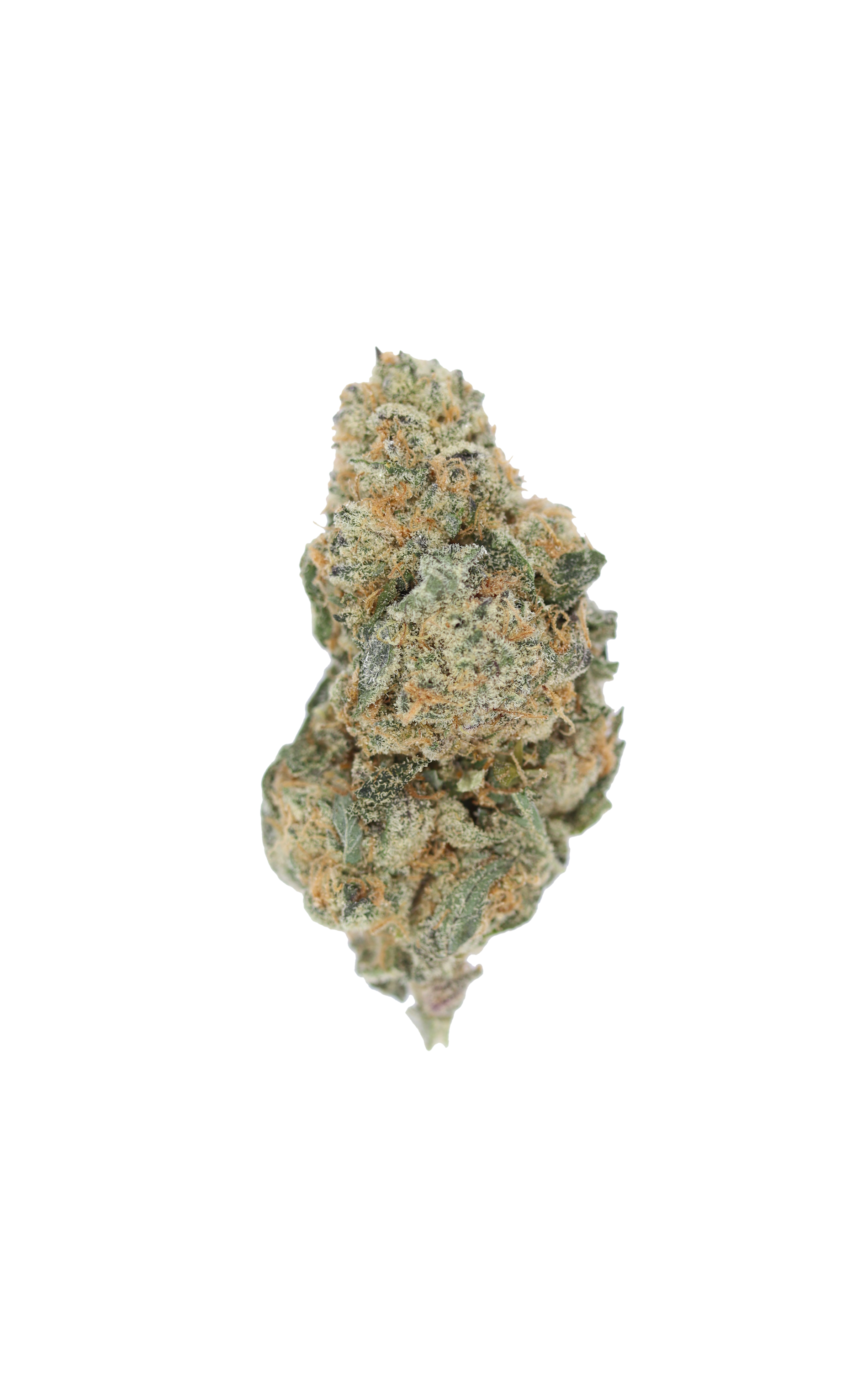 Ice Cream (1/2lb) Bulk Cannabis Flower Ice Cream (1/2lb) Bulk Cannabis Flower