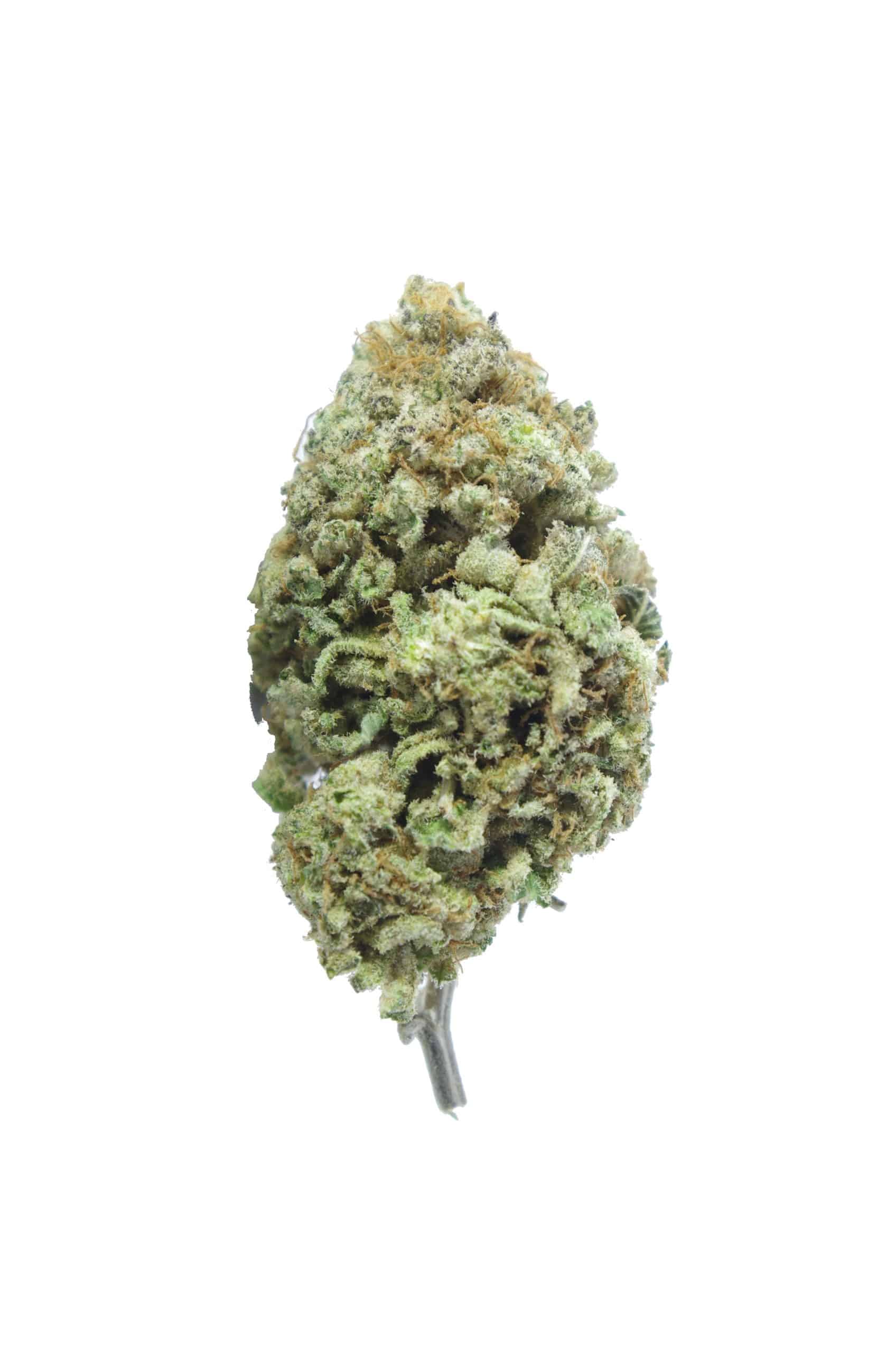 Ice Wreck (Oz Special) All Strains Ice Wreck (Oz Special) All Strains