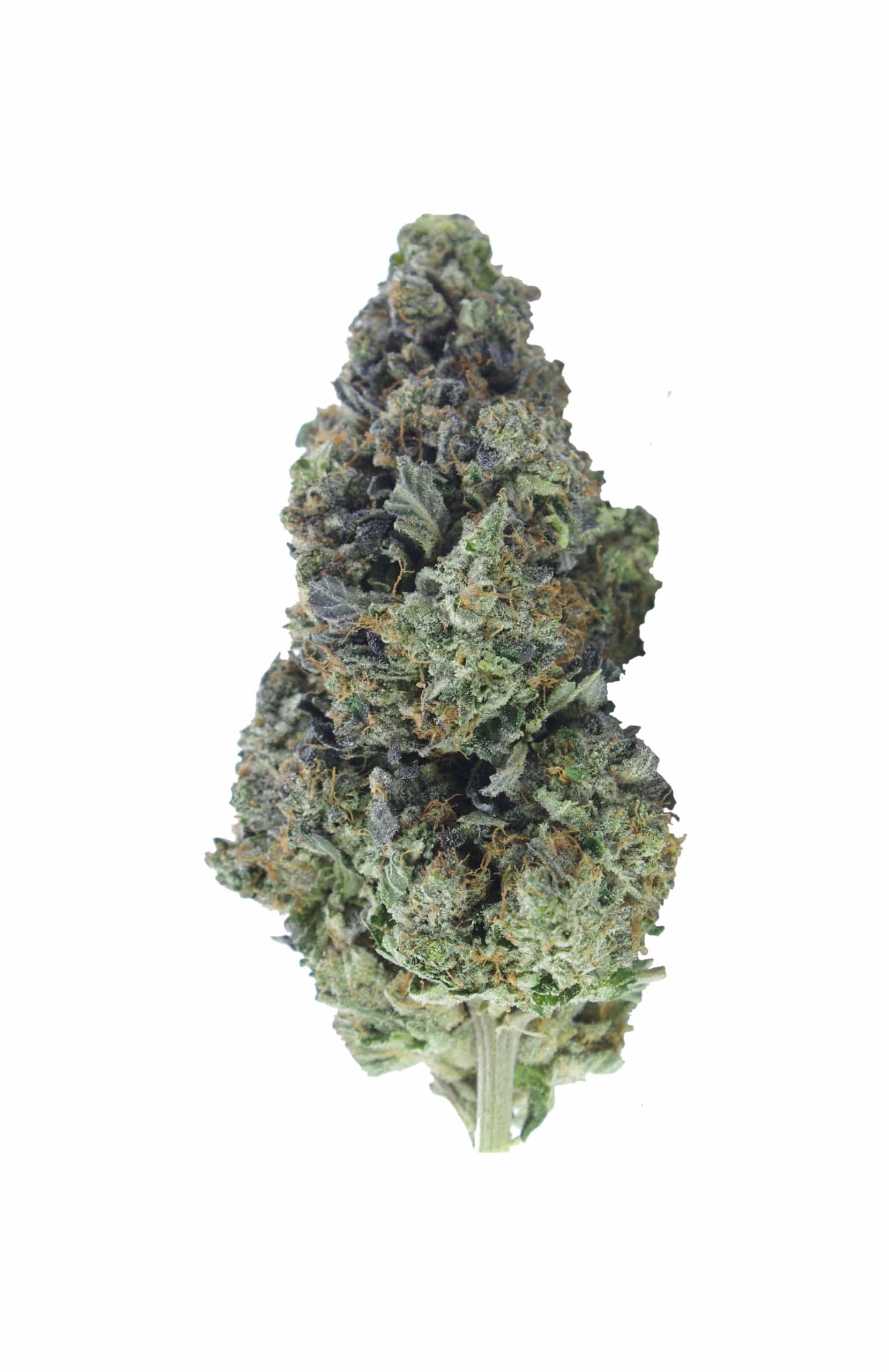 Pink Insanity (1/8th) Indica anti-anxiety Pink Insanity (1/8th) Indica anti-anxiety