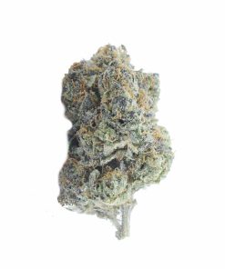 buy jet fuel gelato online