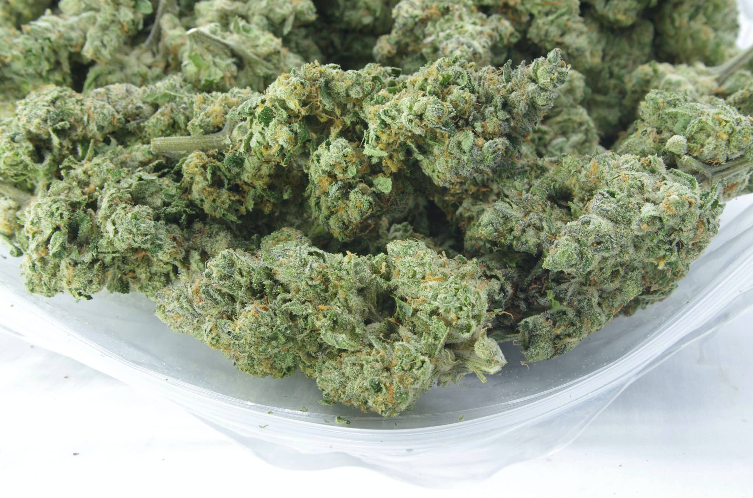 Jelly Rancher (Oz Special) All Strains anti-anxiety Jelly Rancher (Oz Special) All Strains anti-anxiety