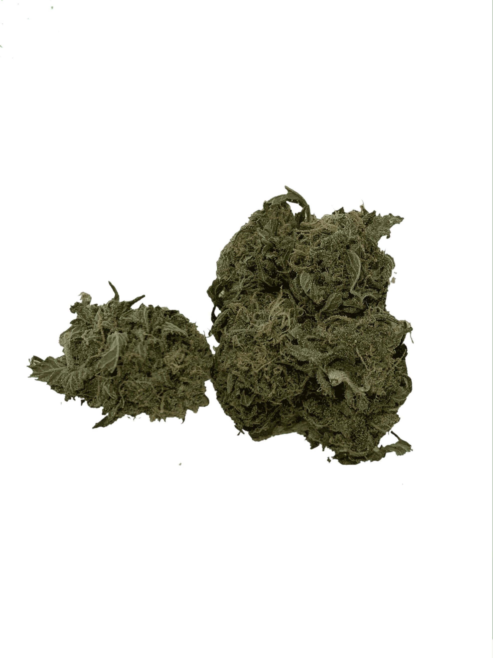 Peaches and Cream Small Buds All Strains anxiety Peaches and Cream Small Buds All Strains anxiety