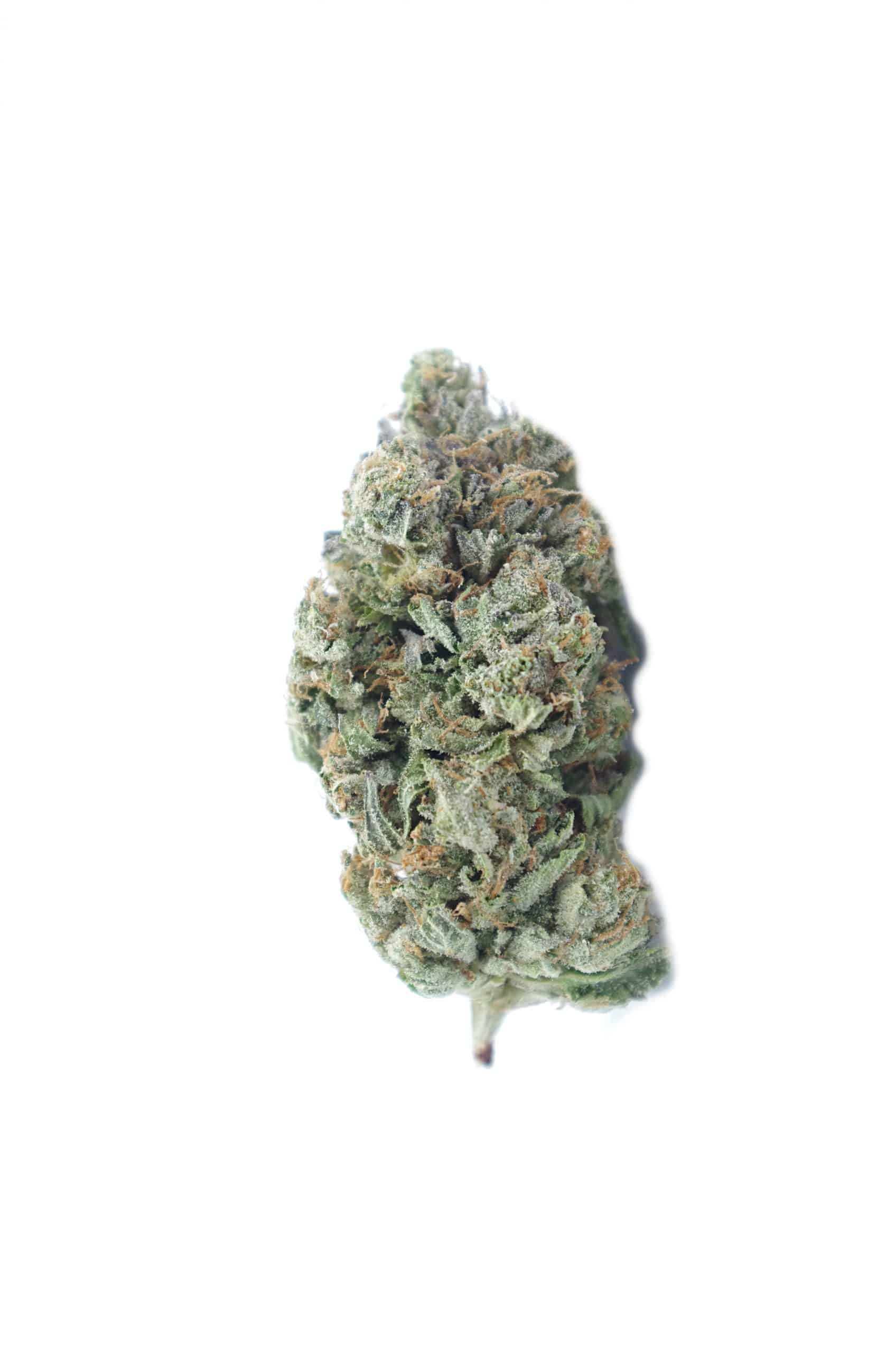 Kings Kush (Oz Special) Indica anxiety Kings Kush (Oz Special) Indica anxiety