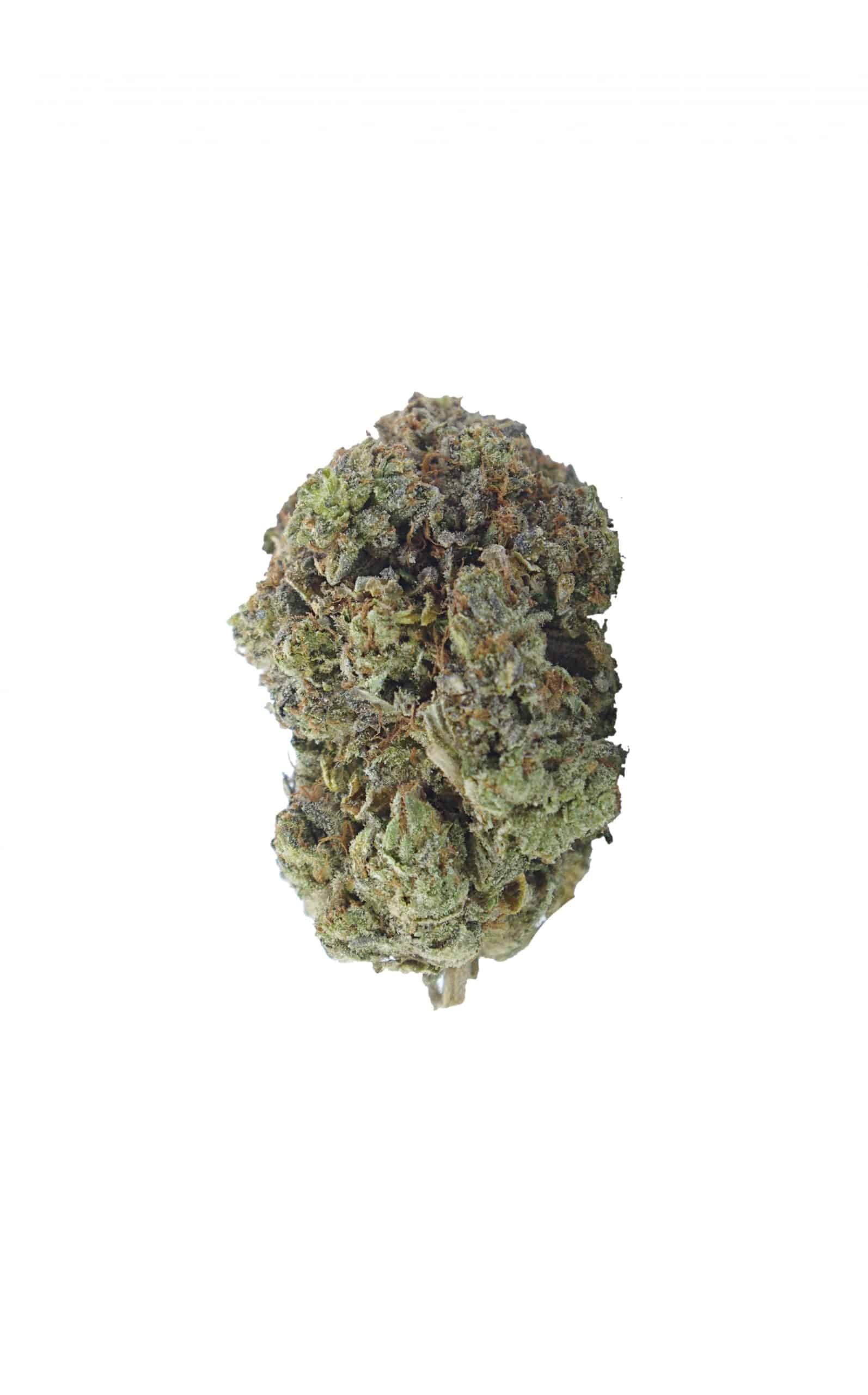 King Louis (Oz Special) Indica anxiety King Louis (Oz Special) Indica anxiety