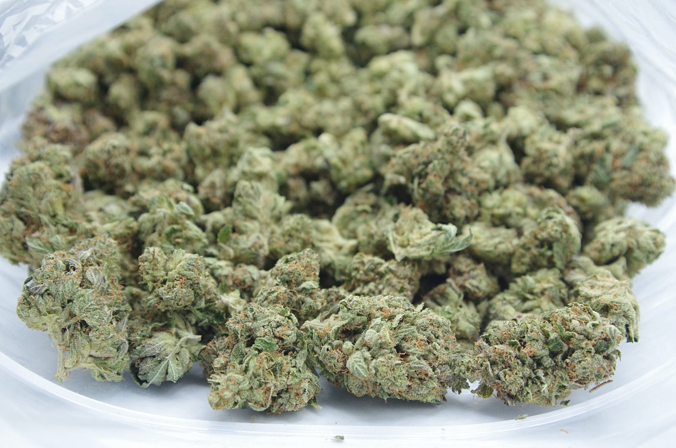 Kings Kush (Oz Special) Indica anxiety Kings Kush (Oz Special) Indica anxiety