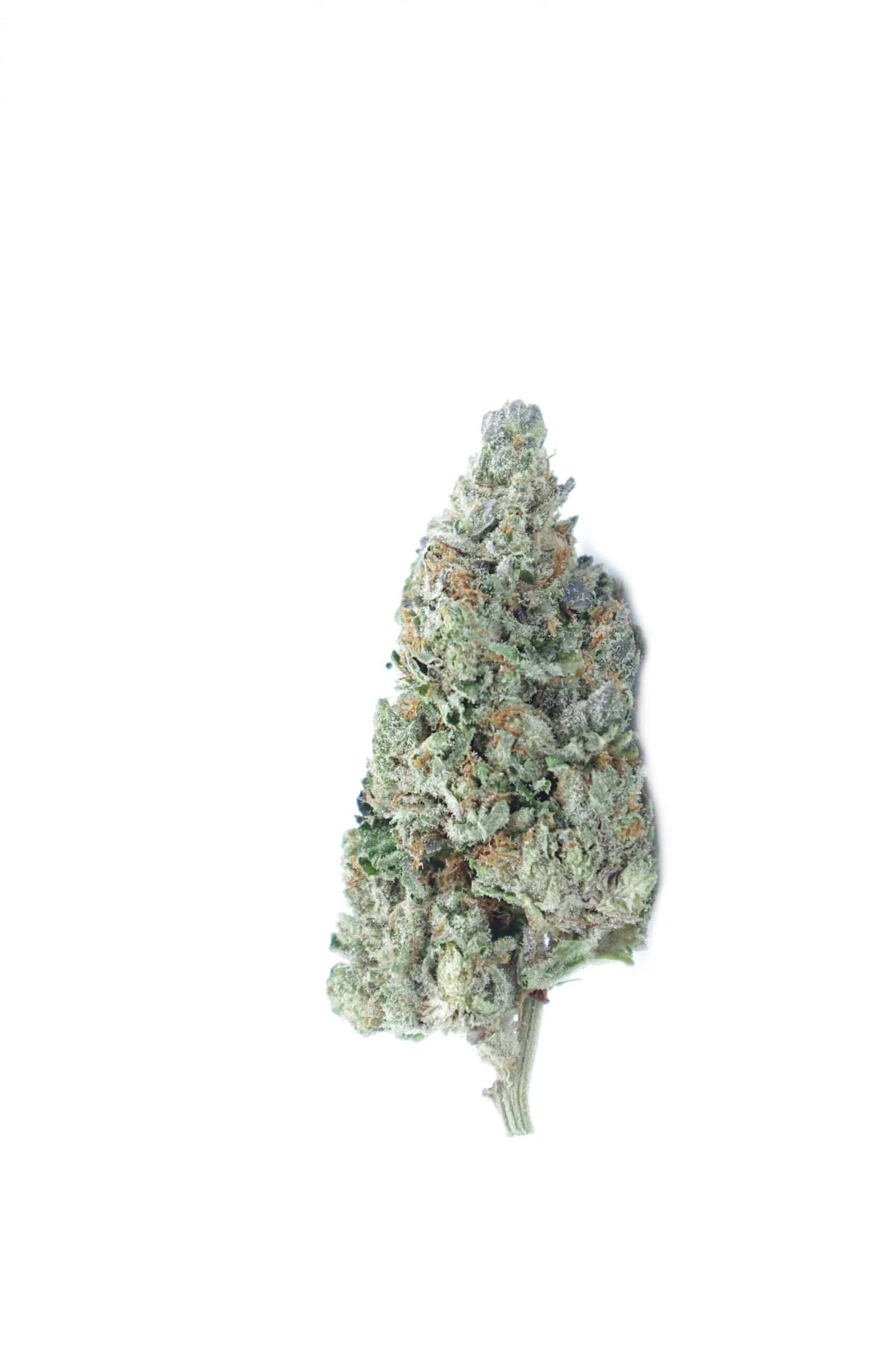 Kush Mints (Oz Special) Hybrid anti-anxiety Kush Mints (Oz Special) Hybrid anti-anxiety
