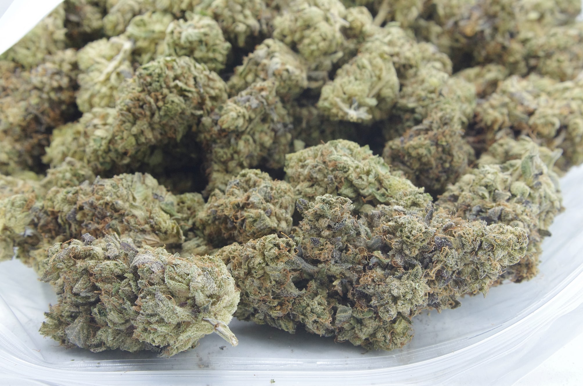 LA Confidential (Oz Special) Indica anxiety LA Confidential (Oz Special) Indica anxiety