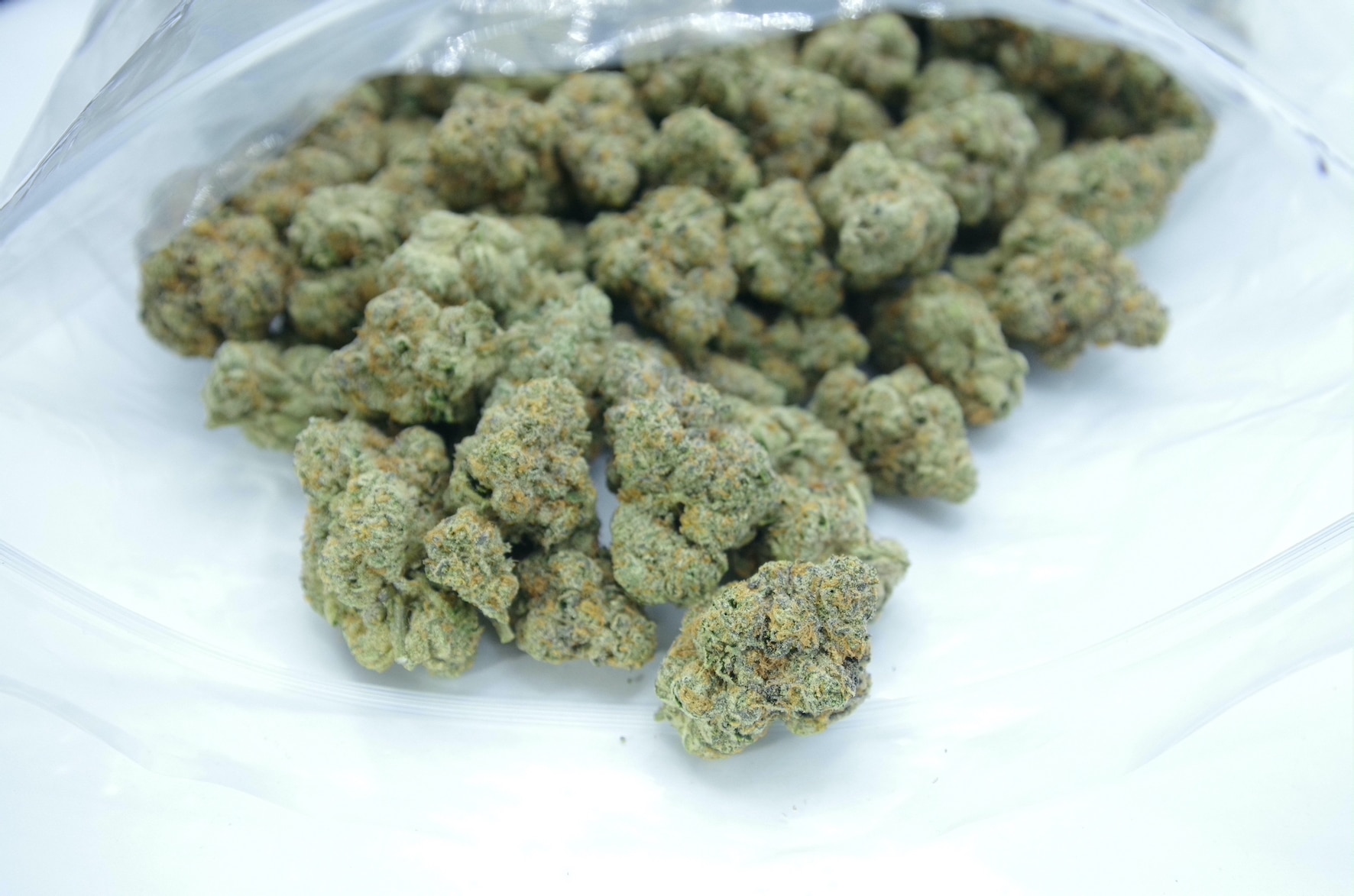 LA Kush Cake (Oz Special) Hybrid anti-anxiety LA Kush Cake (Oz Special) Hybrid anti-anxiety