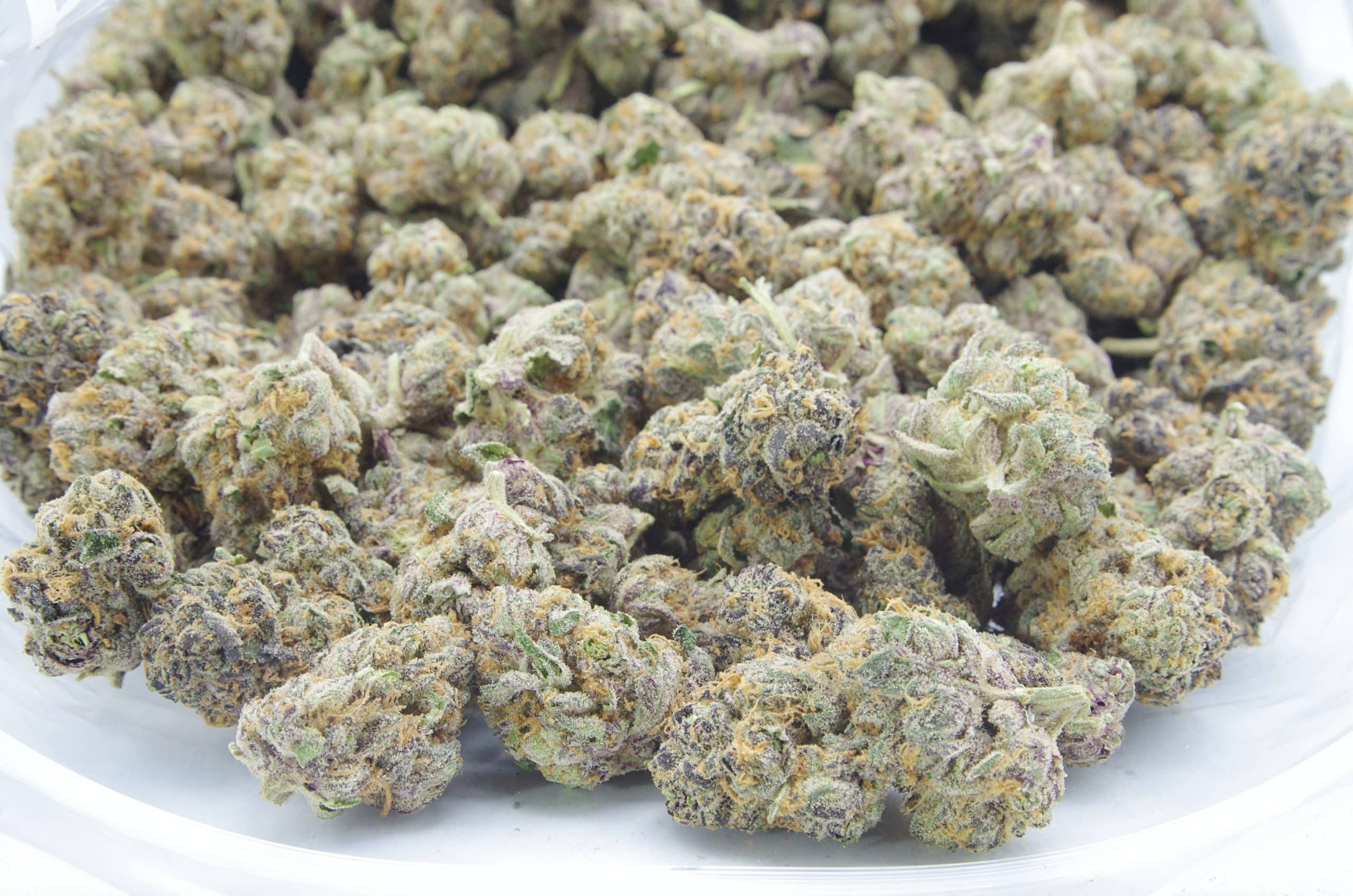 L.A Kush Cake (Oz Special) Hybrid anxiety L.A Kush Cake (Oz Special) Hybrid anxiety