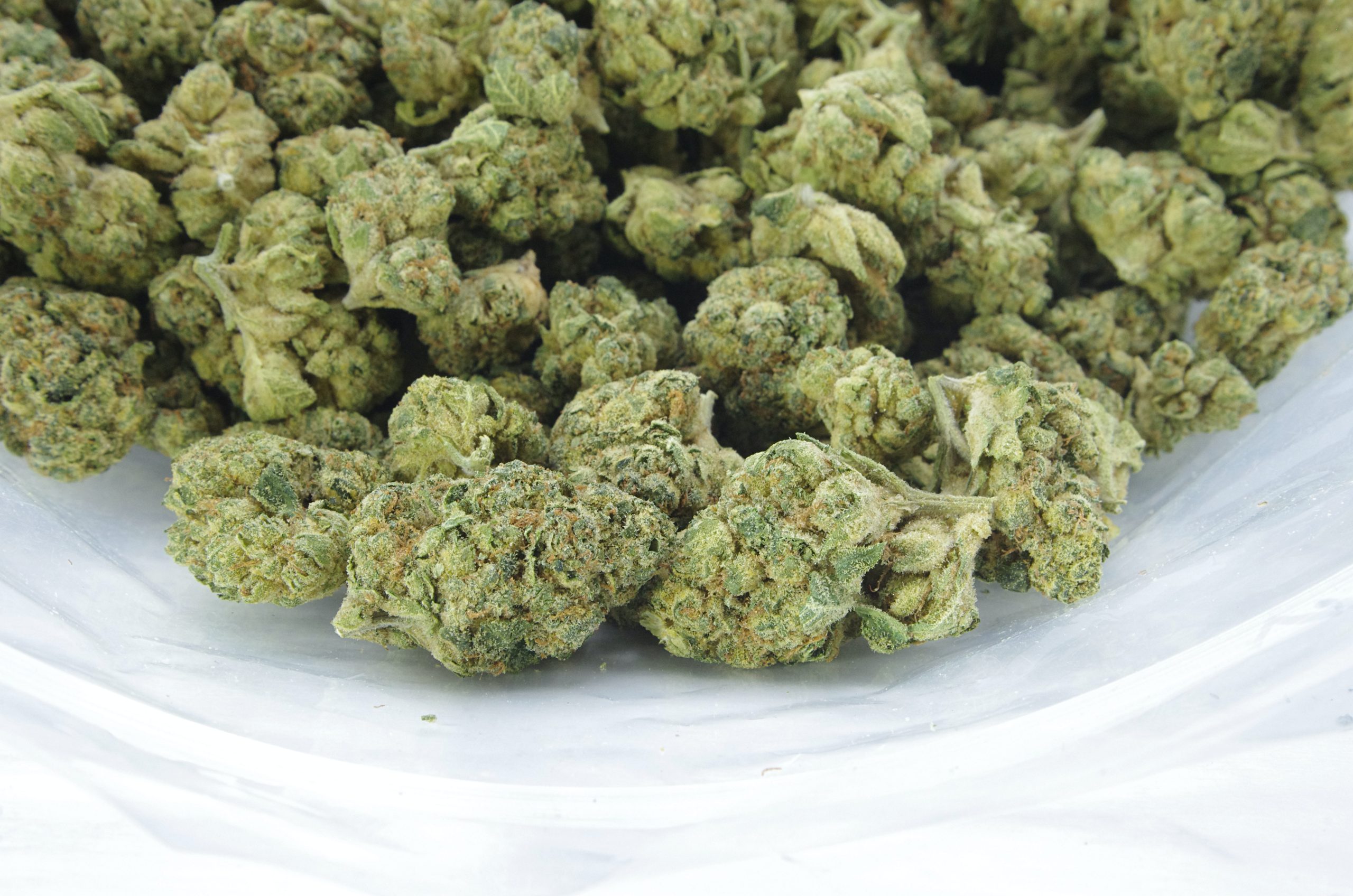 Legendary Larry (Oz Special) All Strains anti-anxiety Legendary Larry (Oz Special) All Strains anti-anxiety