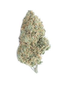 buy lemon og online
