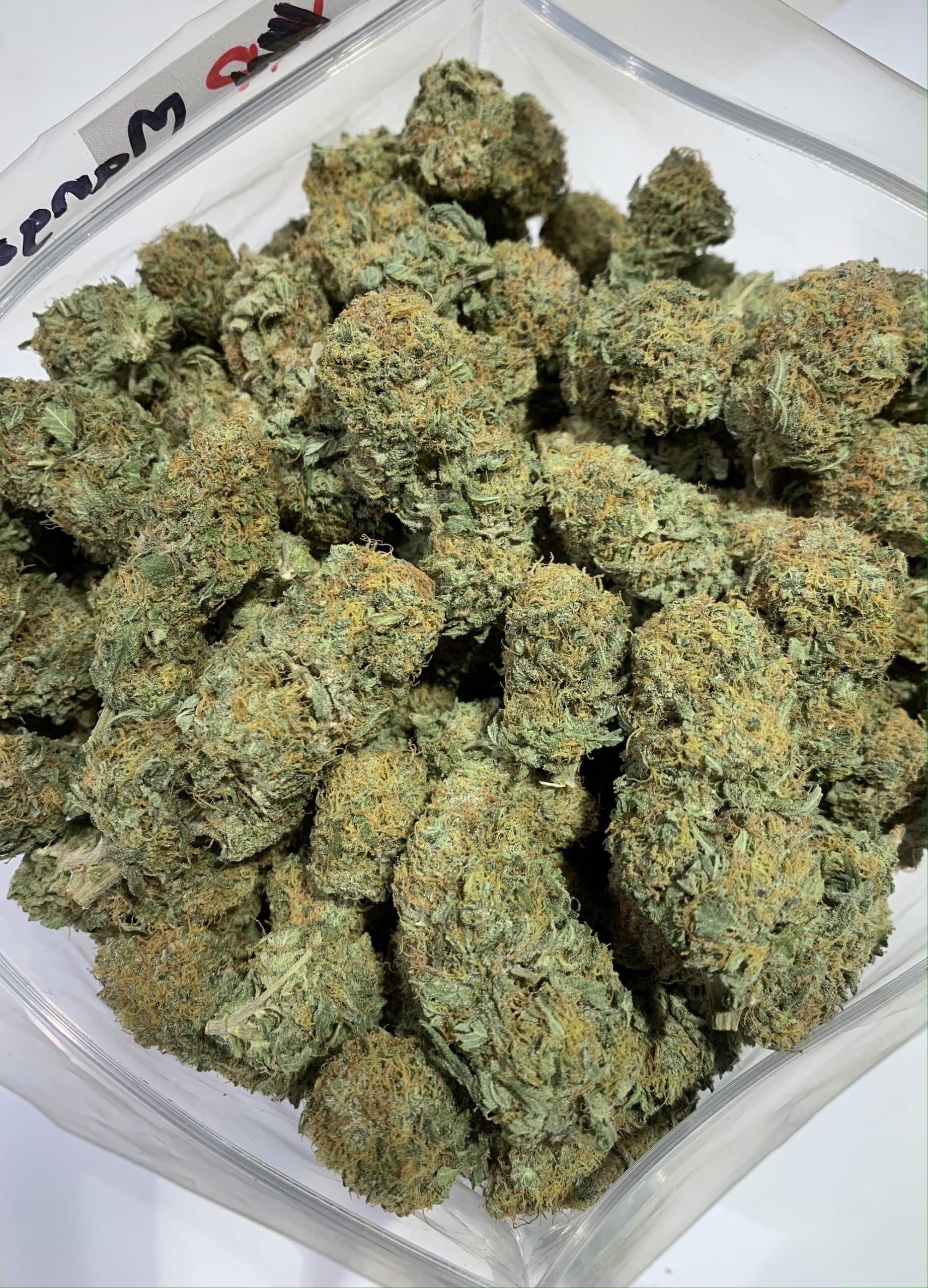 Mango Haze (Oz Special) Hybrid anxiety Mango Haze (Oz Special) Hybrid anxiety