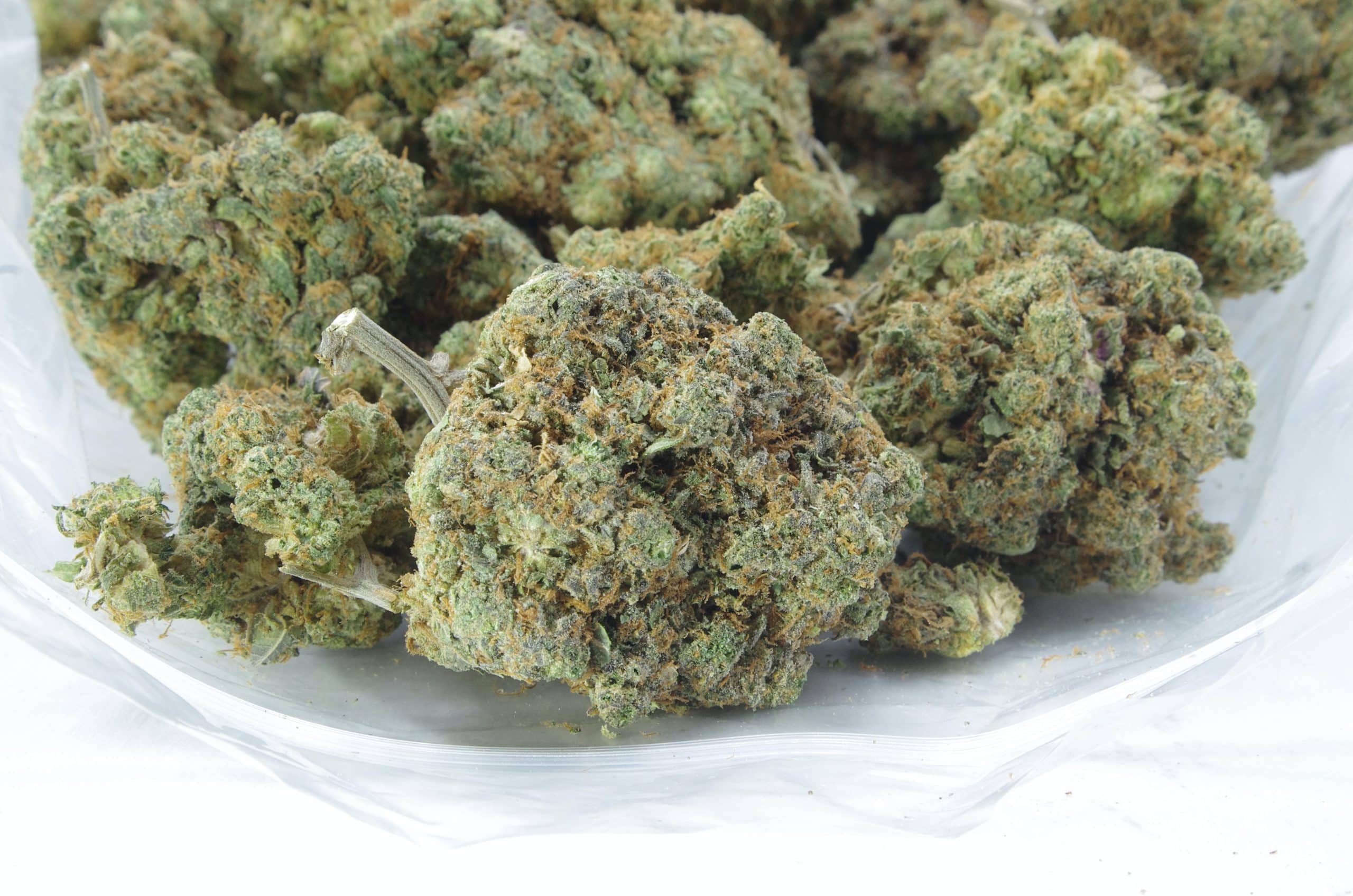 Mango Peyote (3.5G) All Strains anti-anxiety Mango Peyote (3.5G) All Strains anti-anxiety