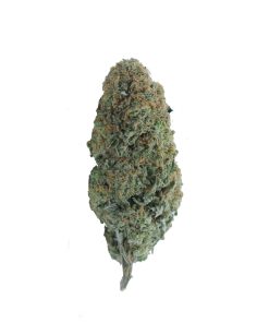 buy mango peyote online