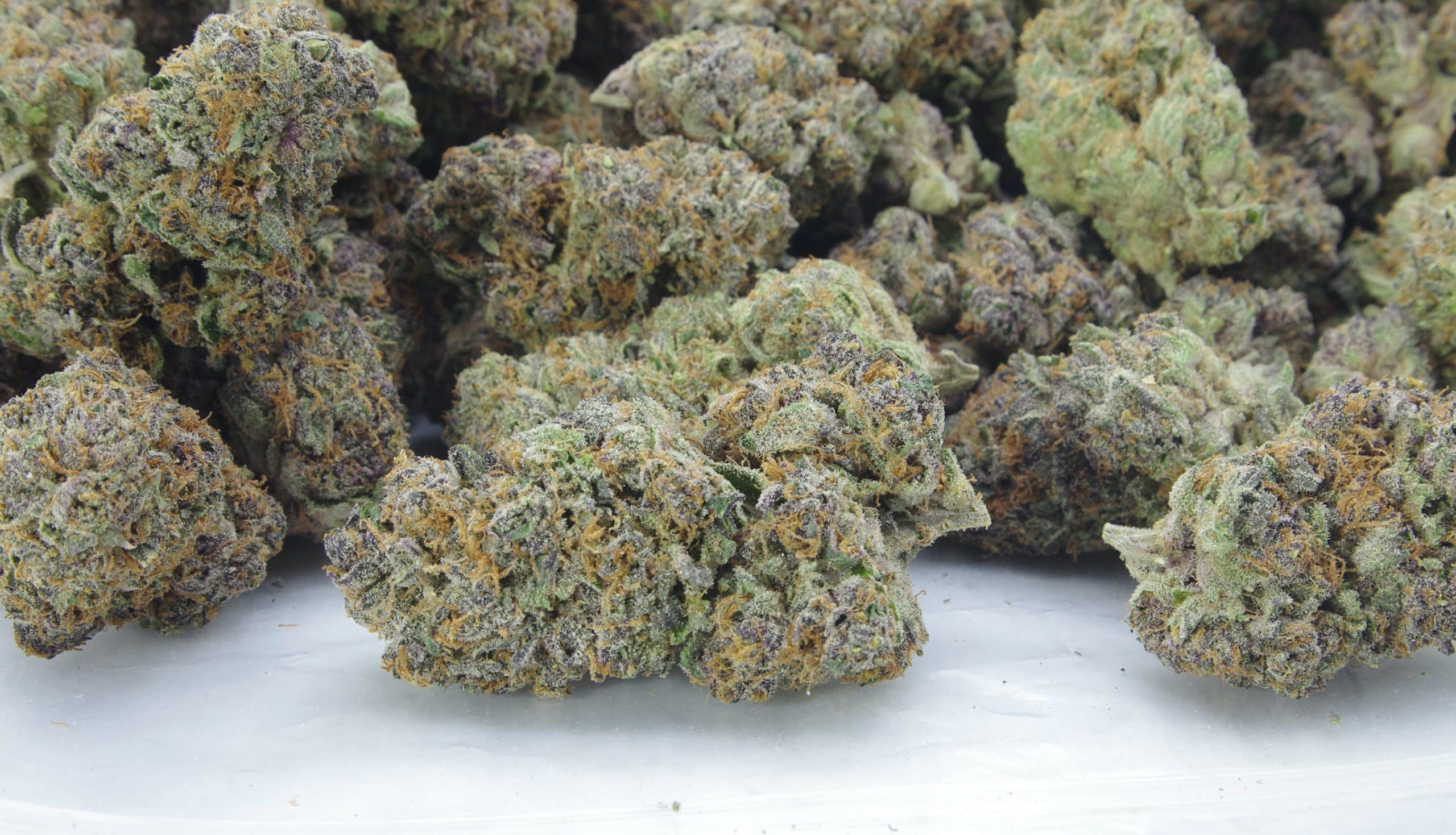Mendocino Purps (Oz Special) Hybrid anti-anxiety Mendocino Purps (Oz Special) Hybrid anti-anxiety