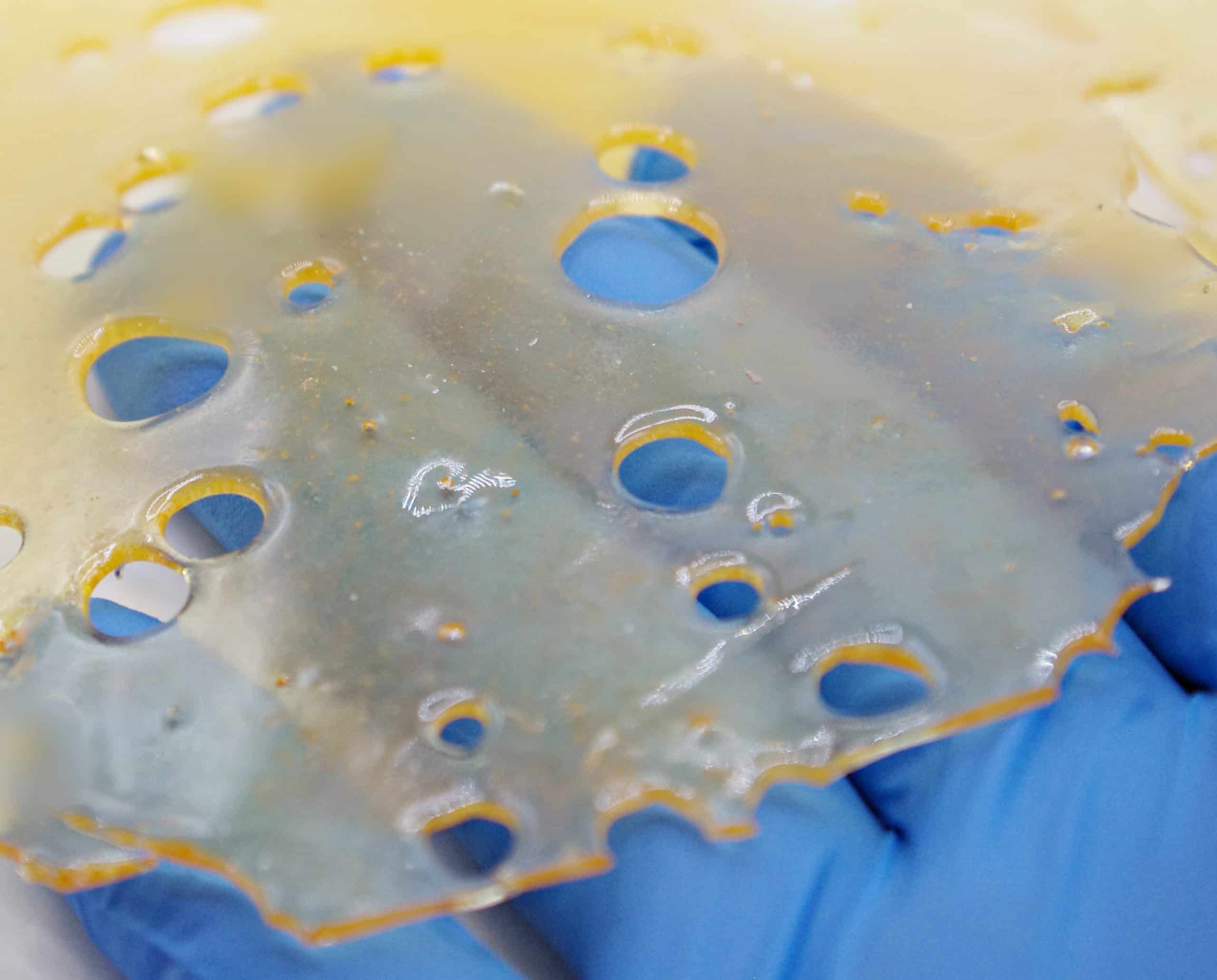 Mimosa Shatter Concentrates Mimosa Shatter Concentrates