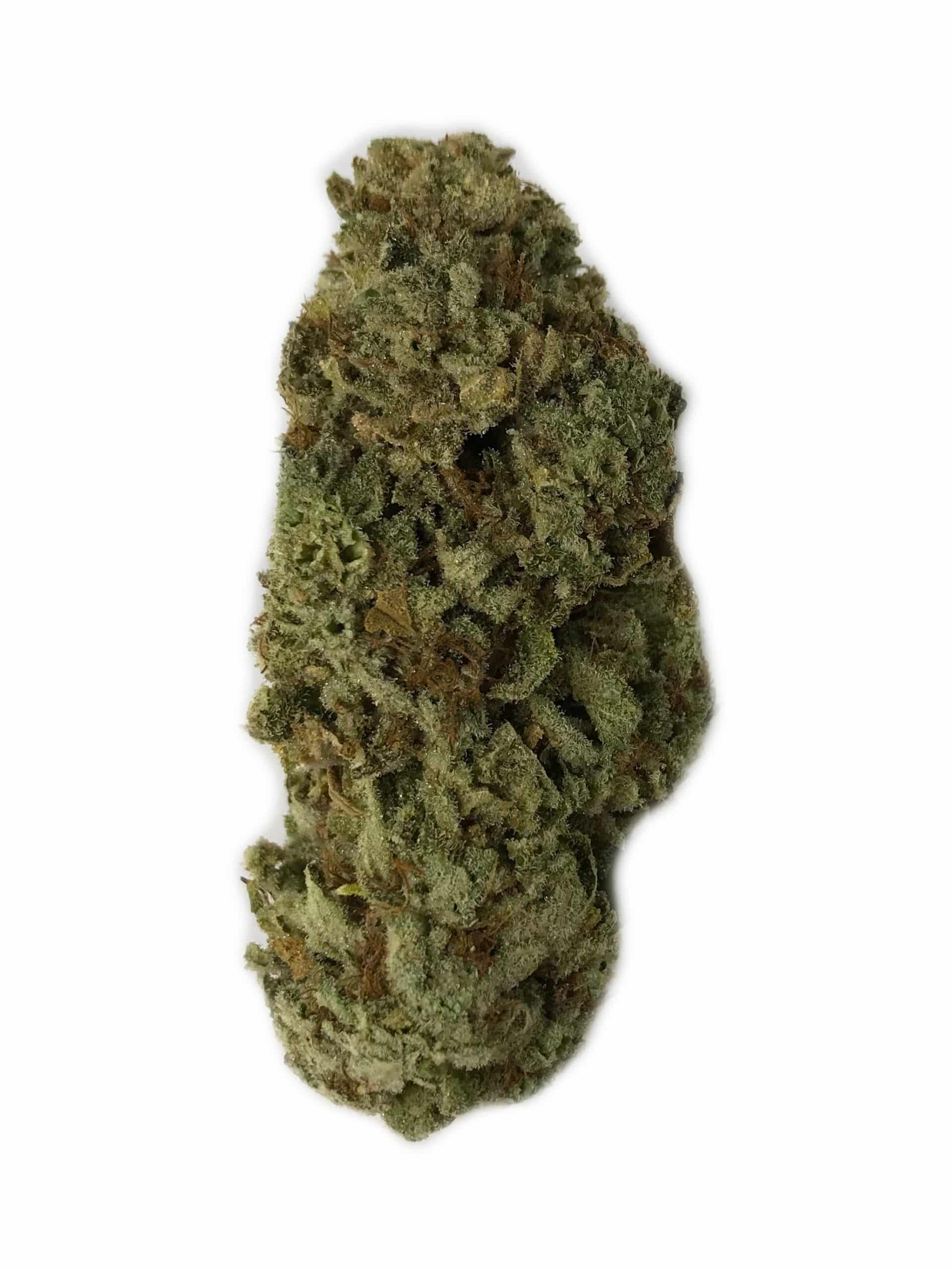 Mint Chocolate Chip (Oz Special) Hybrid anxiety Mint Chocolate Chip (Oz Special) Hybrid anxiety