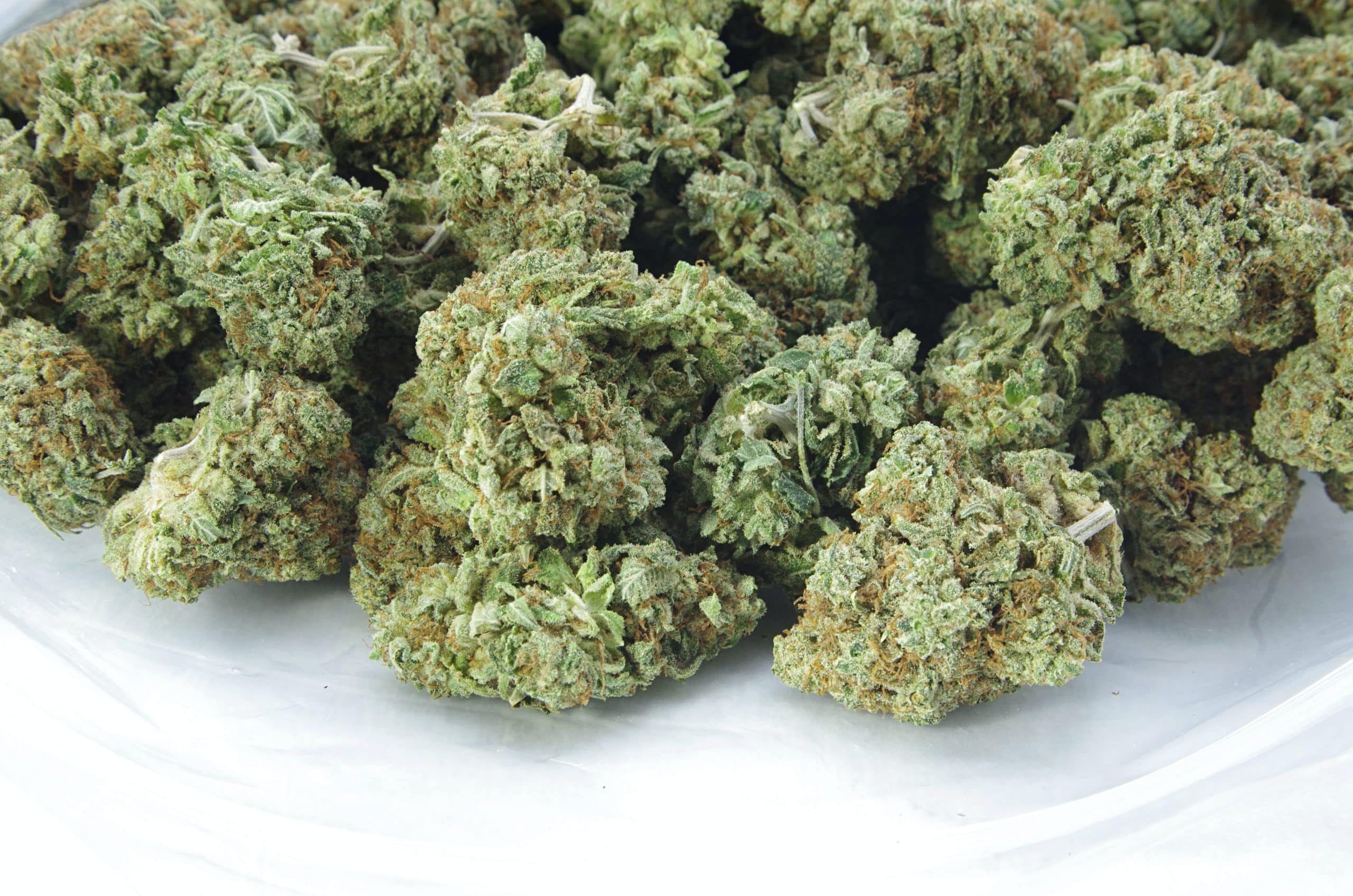 Northern Lights (Oz Special) All Strains anti-anxiety Northern Lights (Oz Special) All Strains anti-anxiety