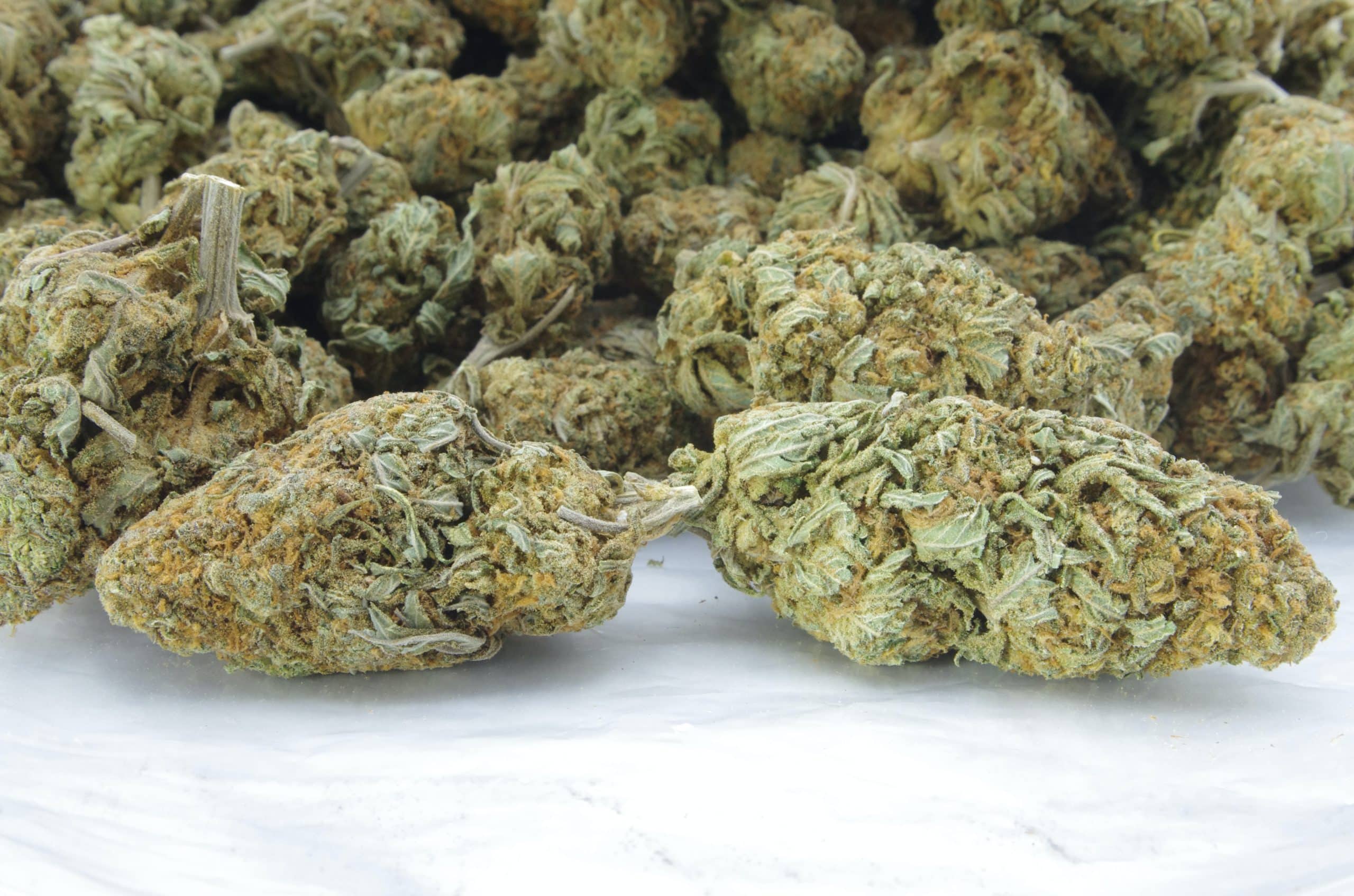 Nuken (Oz Special) All Strains Nuken (Oz Special) All Strains