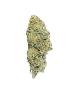 buy nuken online