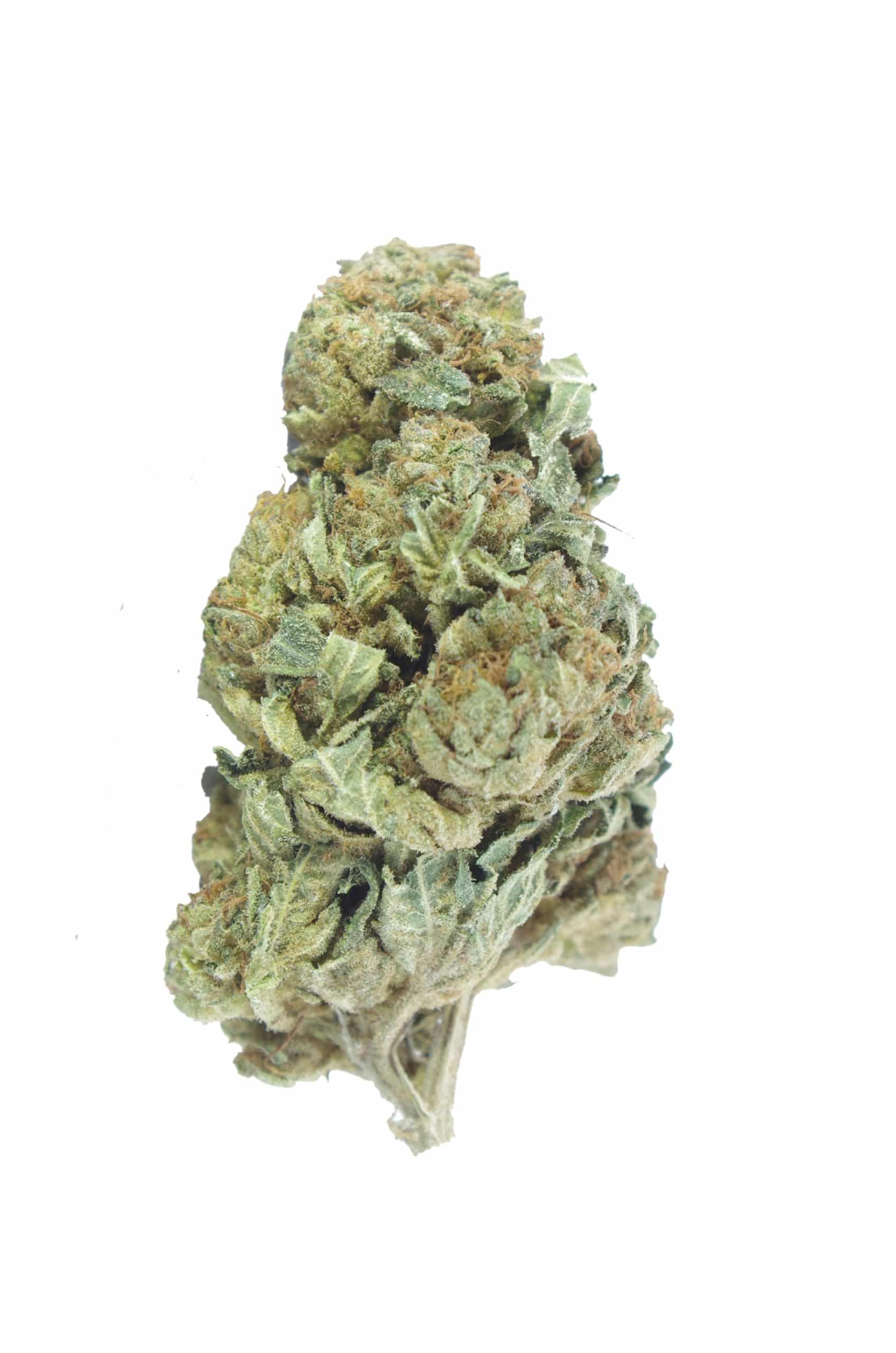 OG Kush (Oz Special) All Strains anti-anxiety OG Kush (Oz Special) All Strains anti-anxiety