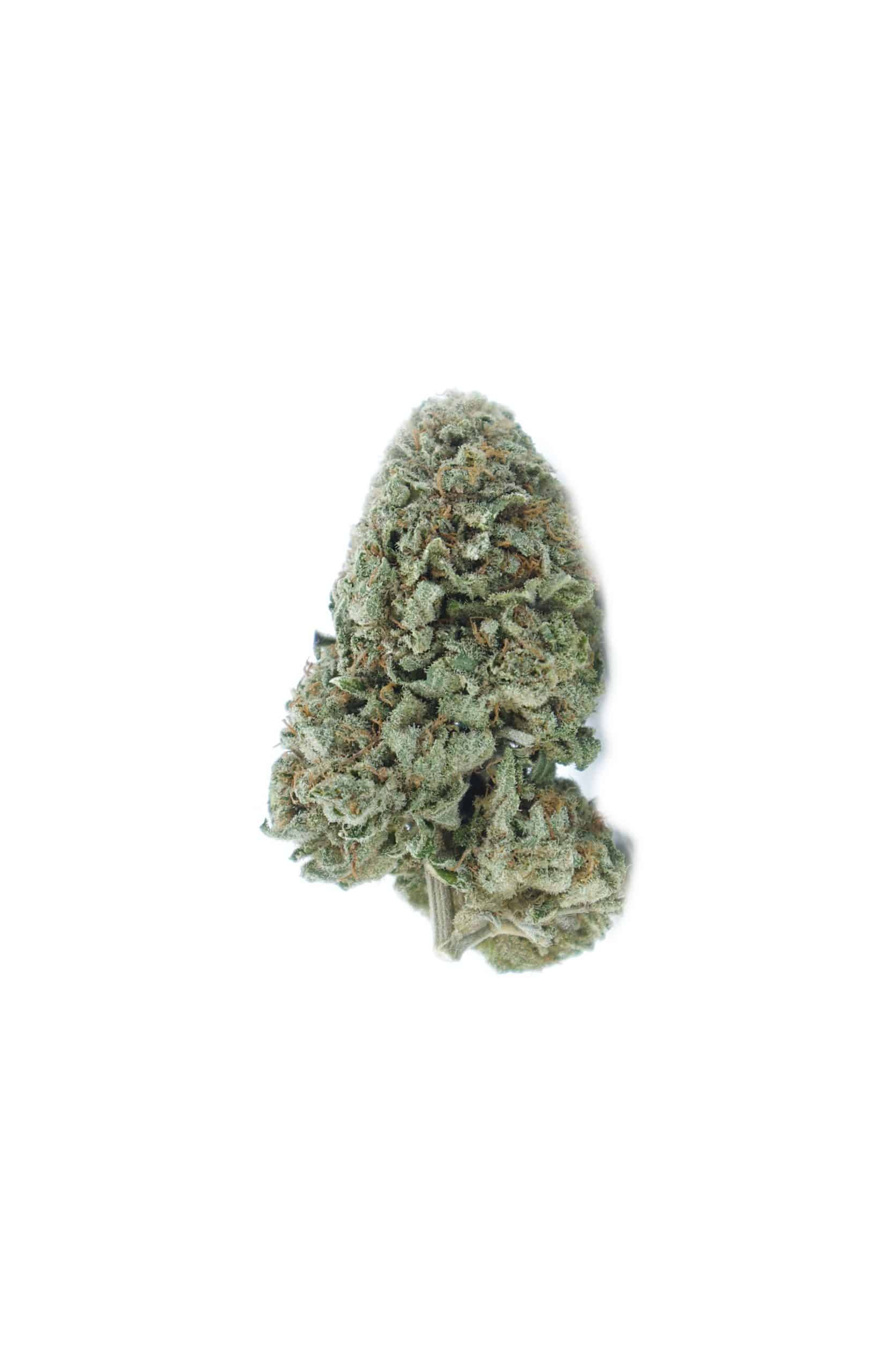 OG (Oz Special) Hybrid anti-anxiety OG (Oz Special) Hybrid anti-anxiety