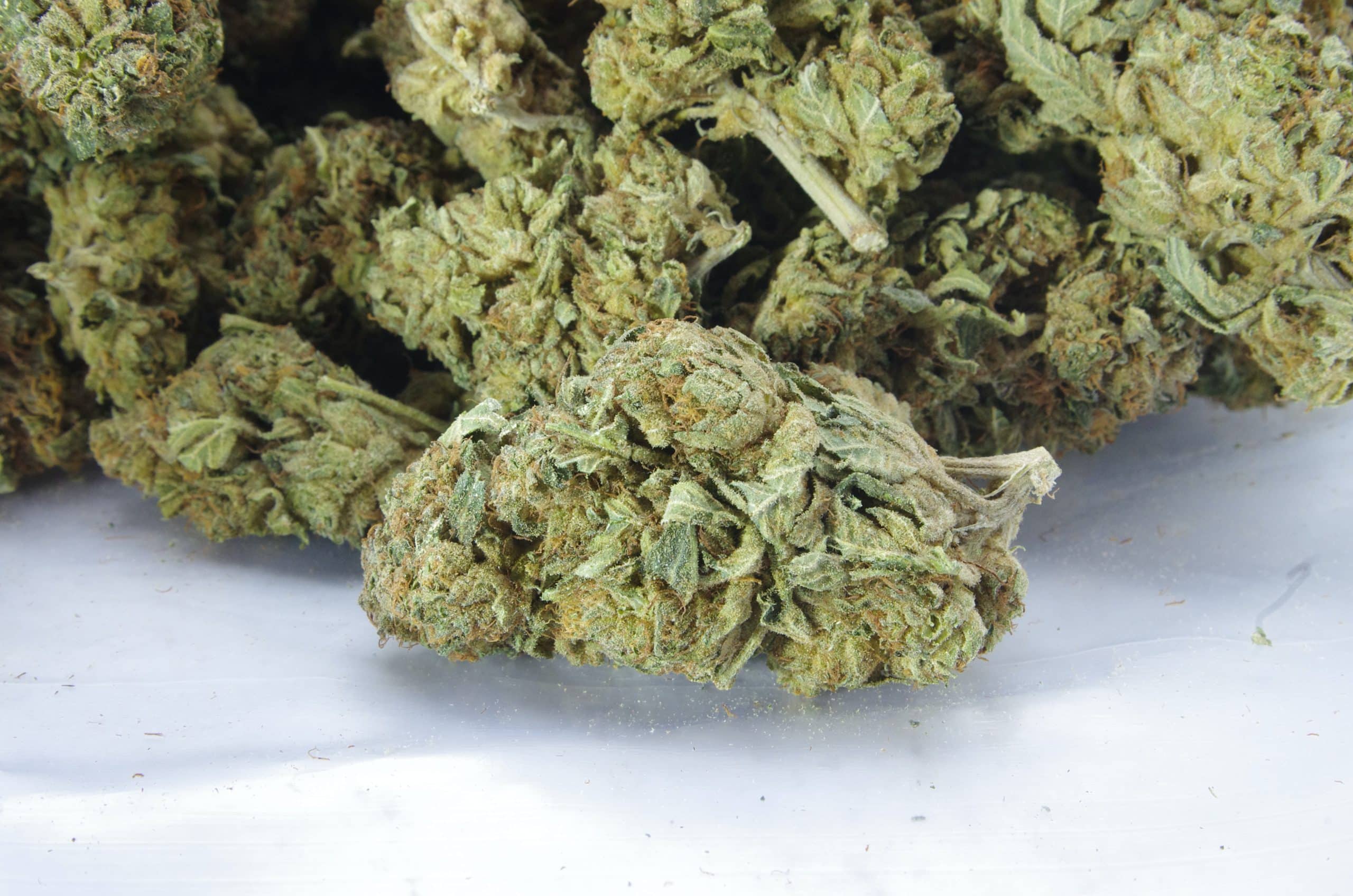 OG Kush (Oz Special) All Strains anti-anxiety OG Kush (Oz Special) All Strains anti-anxiety