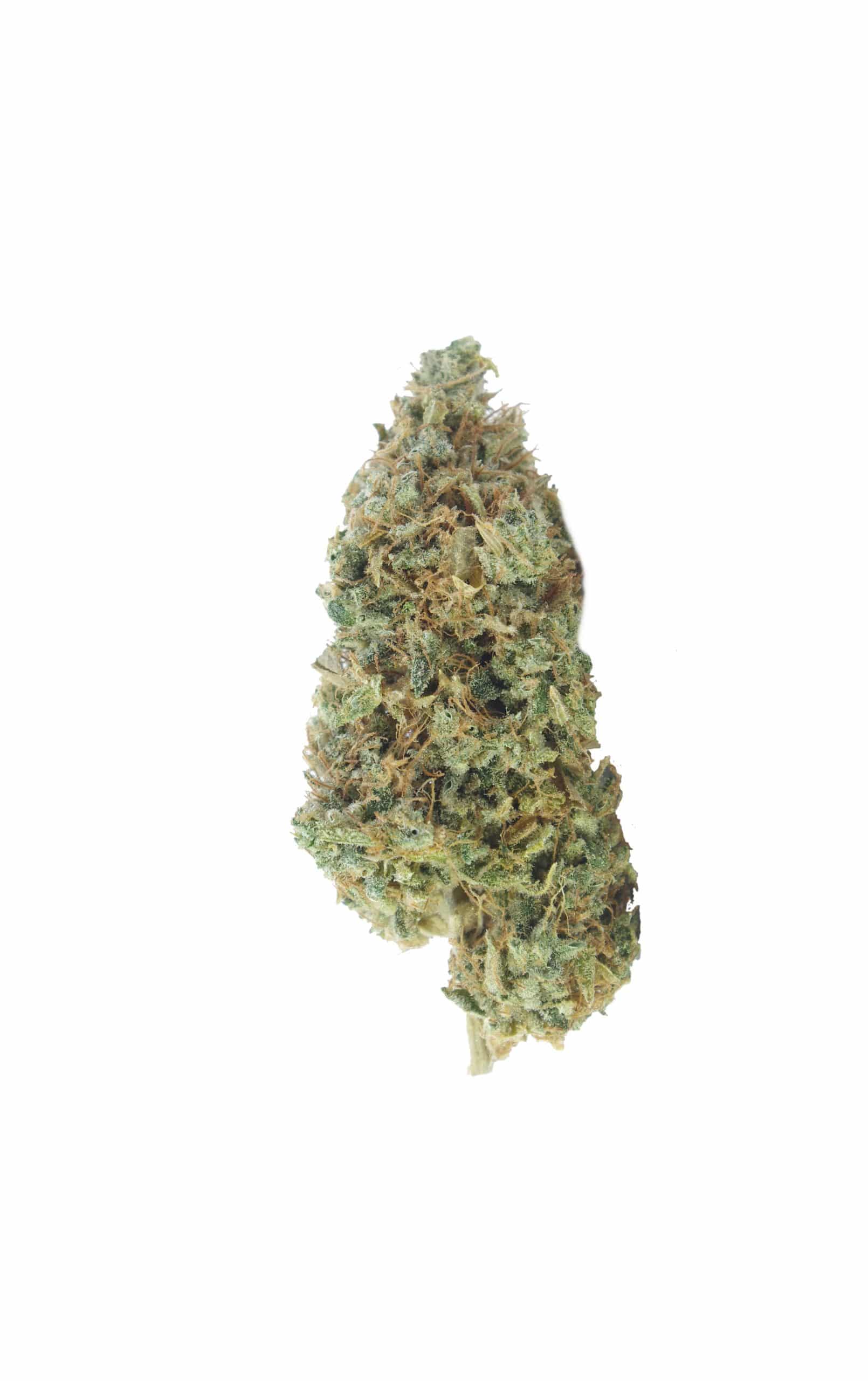 OG/Northern Lights Haze (LSO) Oz Special All Strains anti-anxiety OG/Northern Lights Haze (LSO) Oz Special All Strains anti-anxiety