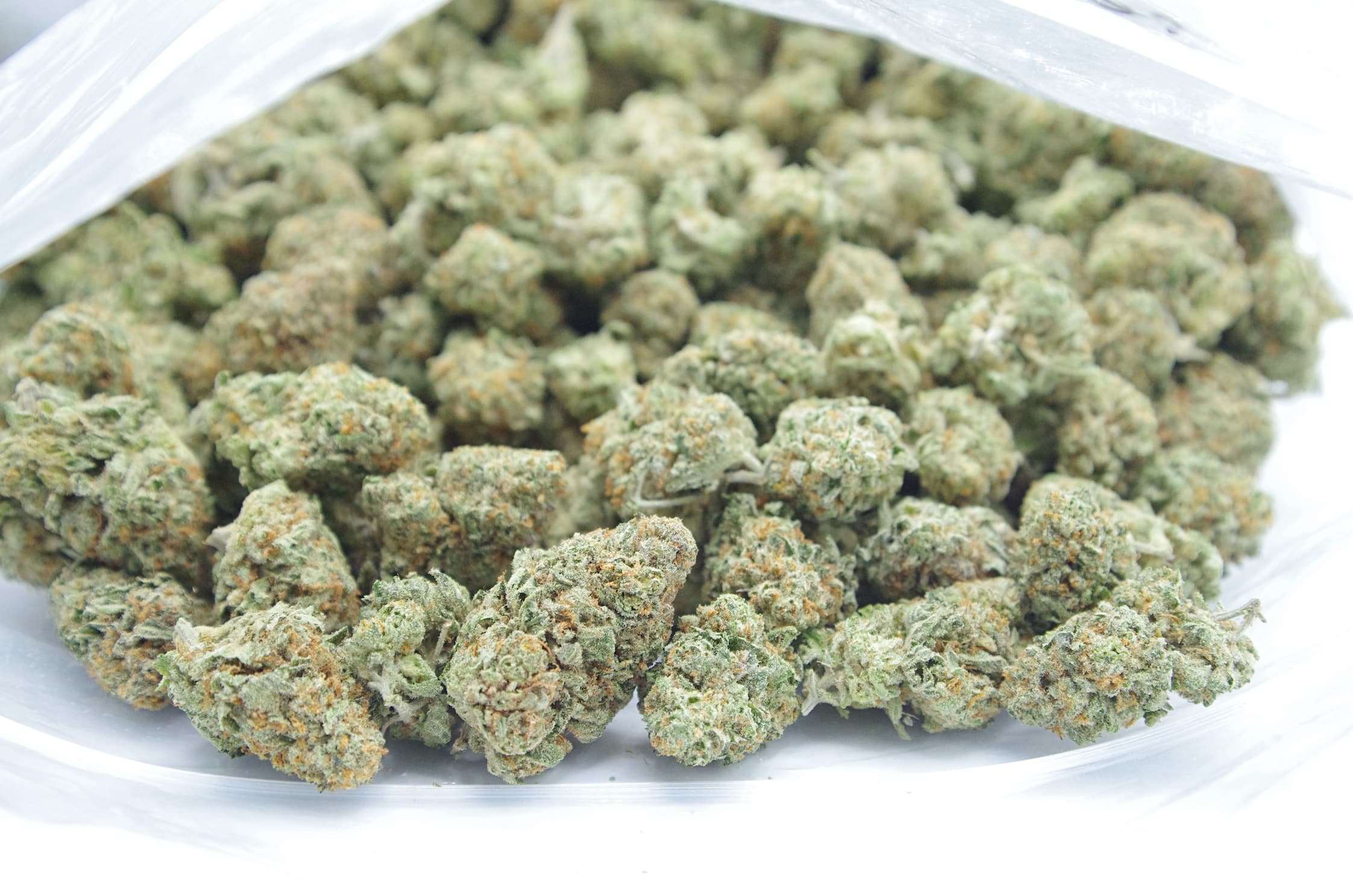 Mimosa EVO (Oz Special) Hybrid anti-anxiety Mimosa EVO (Oz Special) Hybrid anti-anxiety