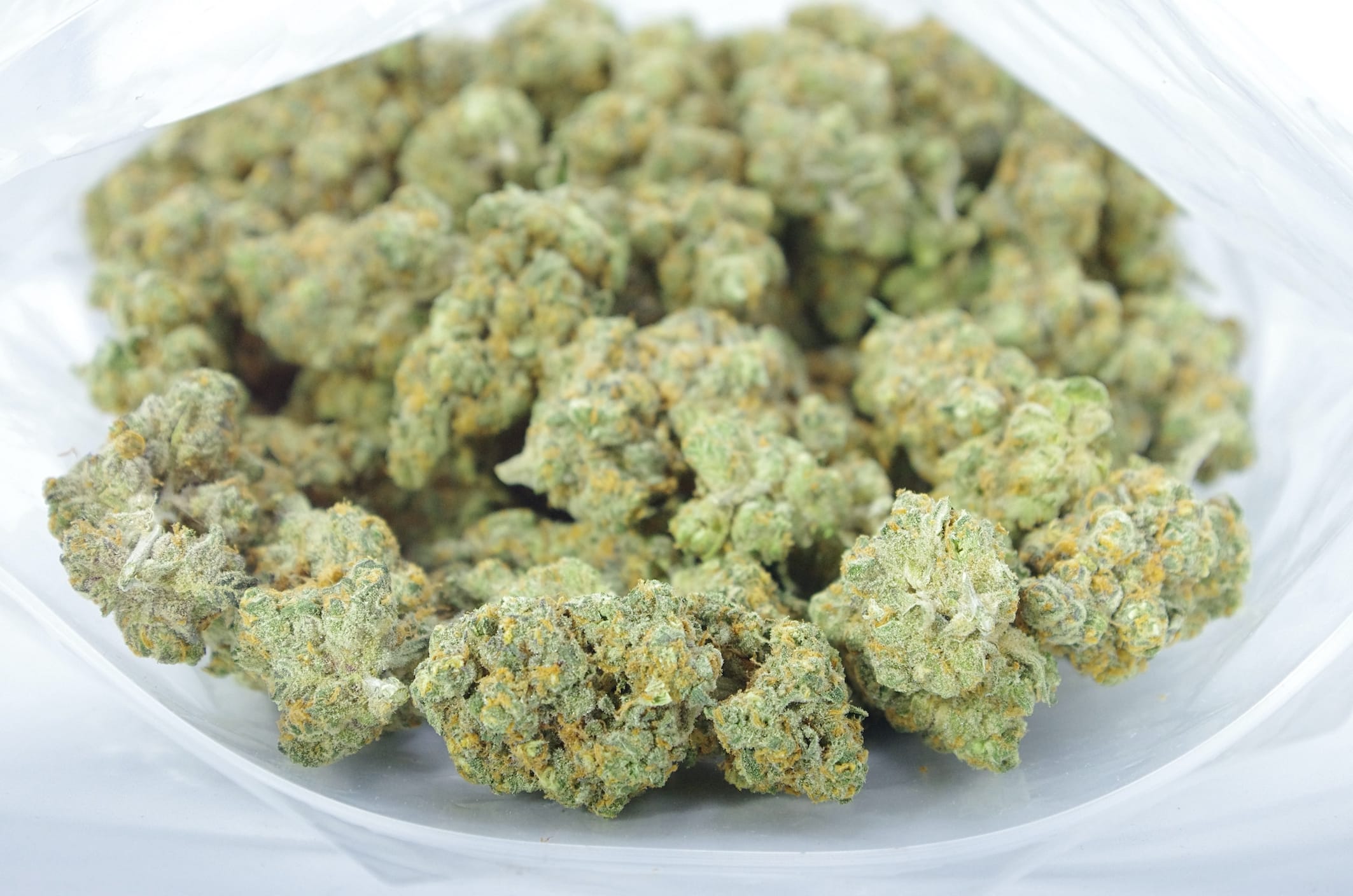 Orange Velvet (Oz Special) Hybrid anti-anxiety Orange Velvet (Oz Special) Hybrid anti-anxiety