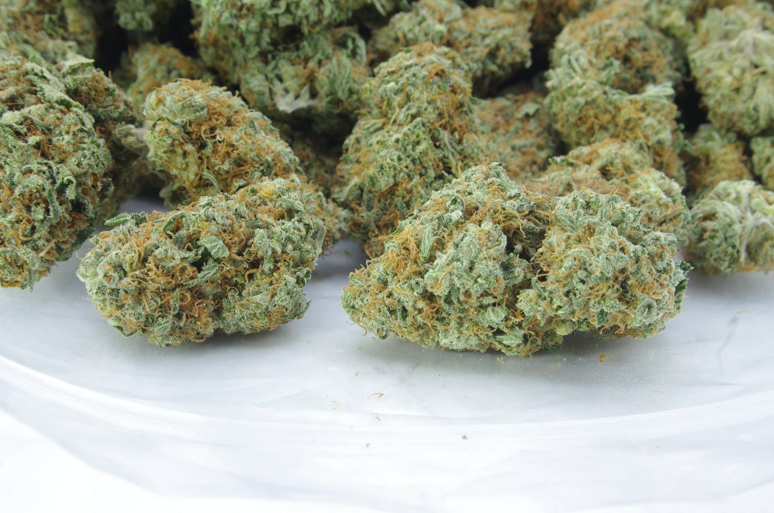 Original Haze (3.5G) Sativa anti-anxiety Original Haze (3.5G) Sativa anti-anxiety