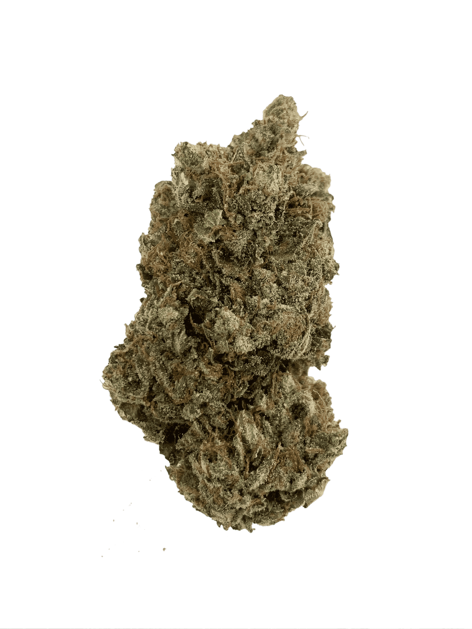 Garlic Breath (Oz Special) All Strains anxiety Garlic Breath (Oz Special) All Strains anxiety