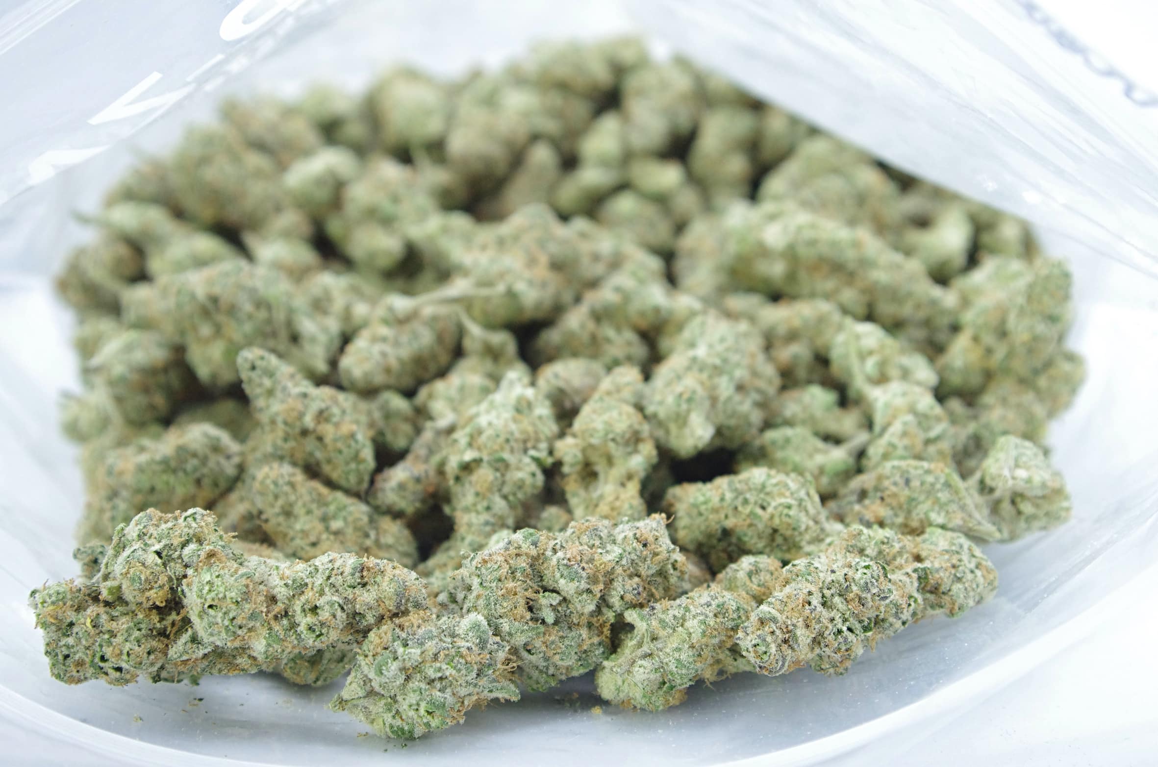 Peach Gelato (Oz Special) Hybrid anxiety Peach Gelato (Oz Special) Hybrid anxiety