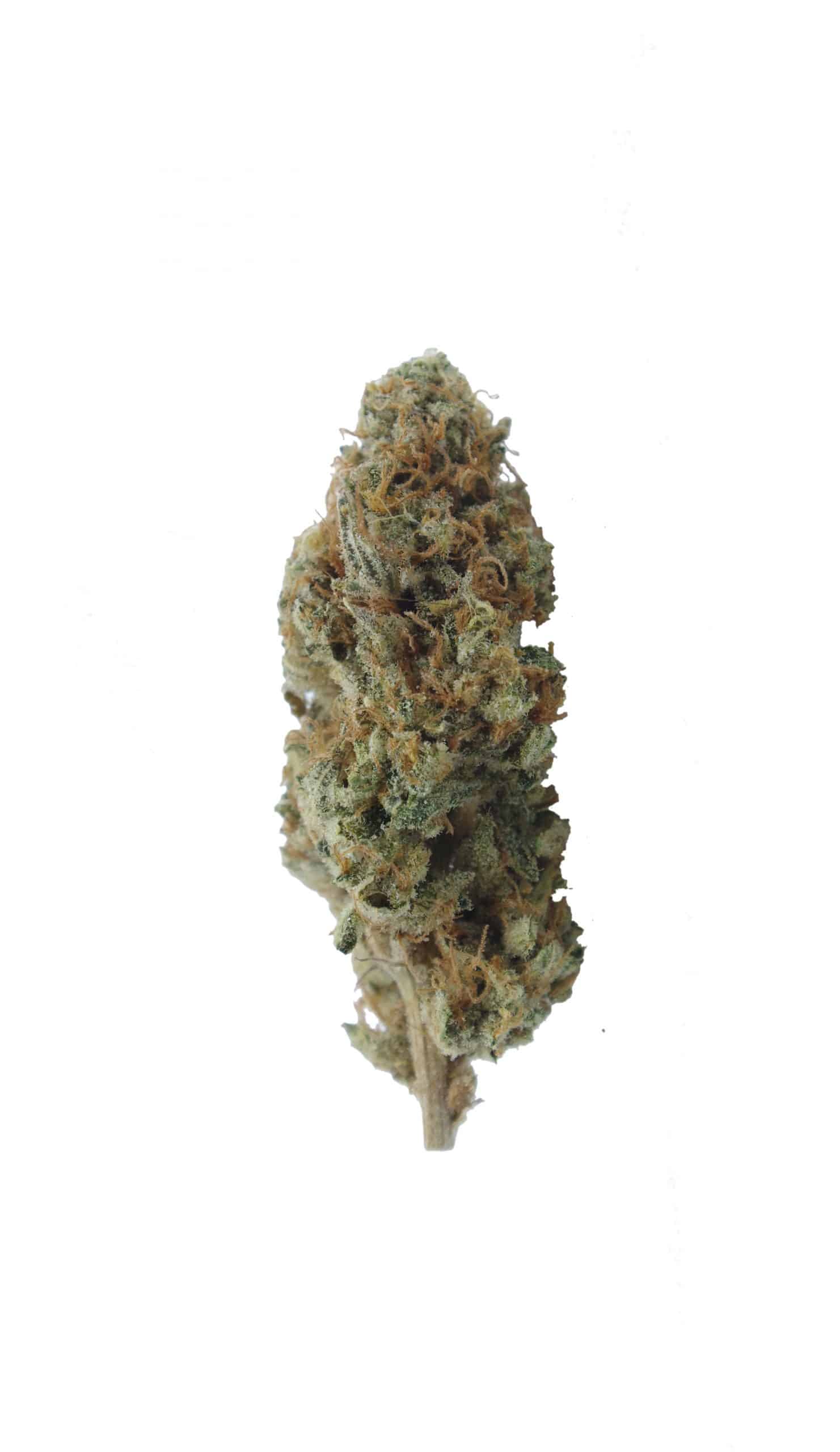 Peach Ringz Gelato – LSO (Oz Special) All Strains anti-anxiety Peach Ringz Gelato – LSO (Oz Special) All Strains anti-anxiety