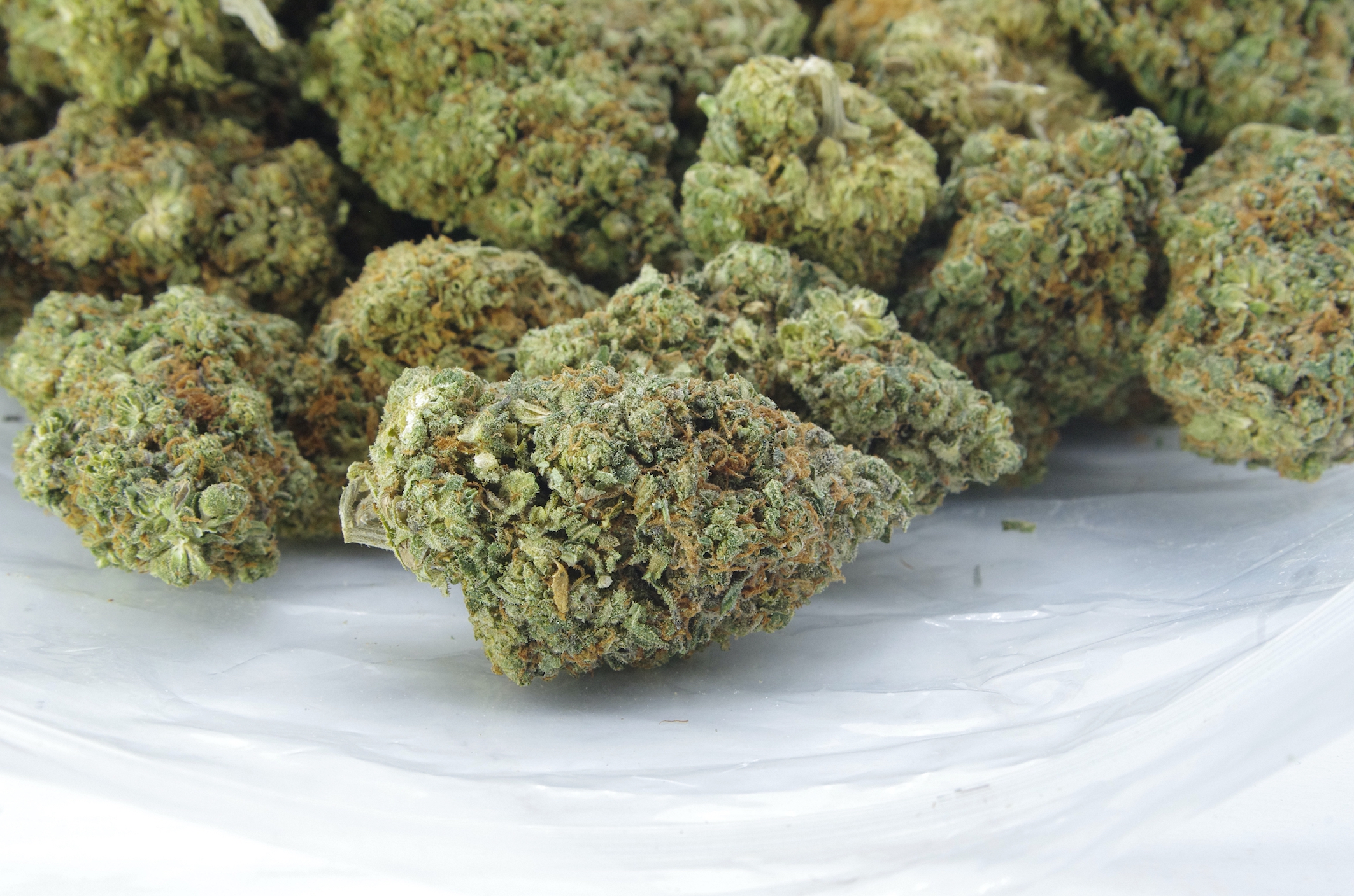 Phantom OG (Oz Special) Indica anti-anxiety Phantom OG (Oz Special) Indica anti-anxiety