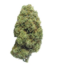 buu phantom og online