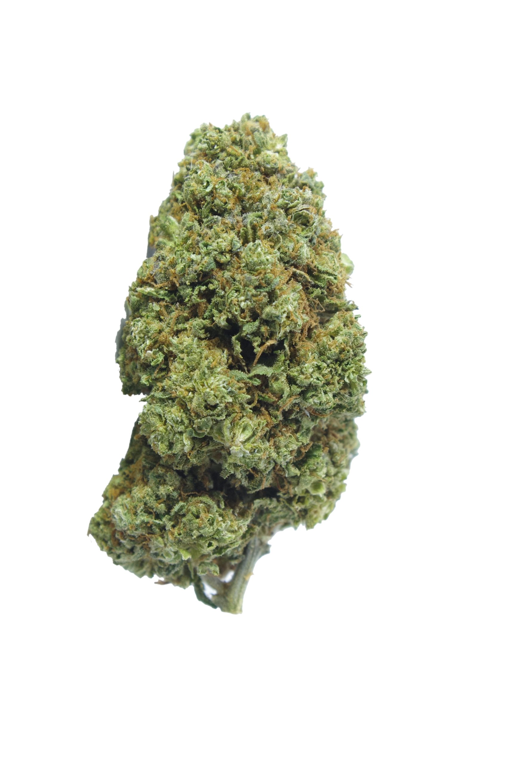 Phantom OG (Oz Special) Indica anti-anxiety Phantom OG (Oz Special) Indica anti-anxiety
