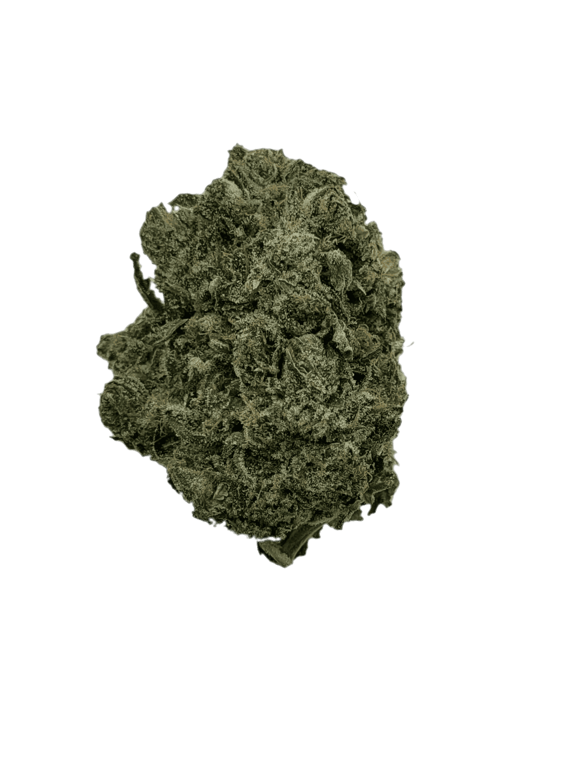 Pine x Comatose (Ounce Special) Indica anxiety Pine x Comatose (Ounce Special) Indica anxiety