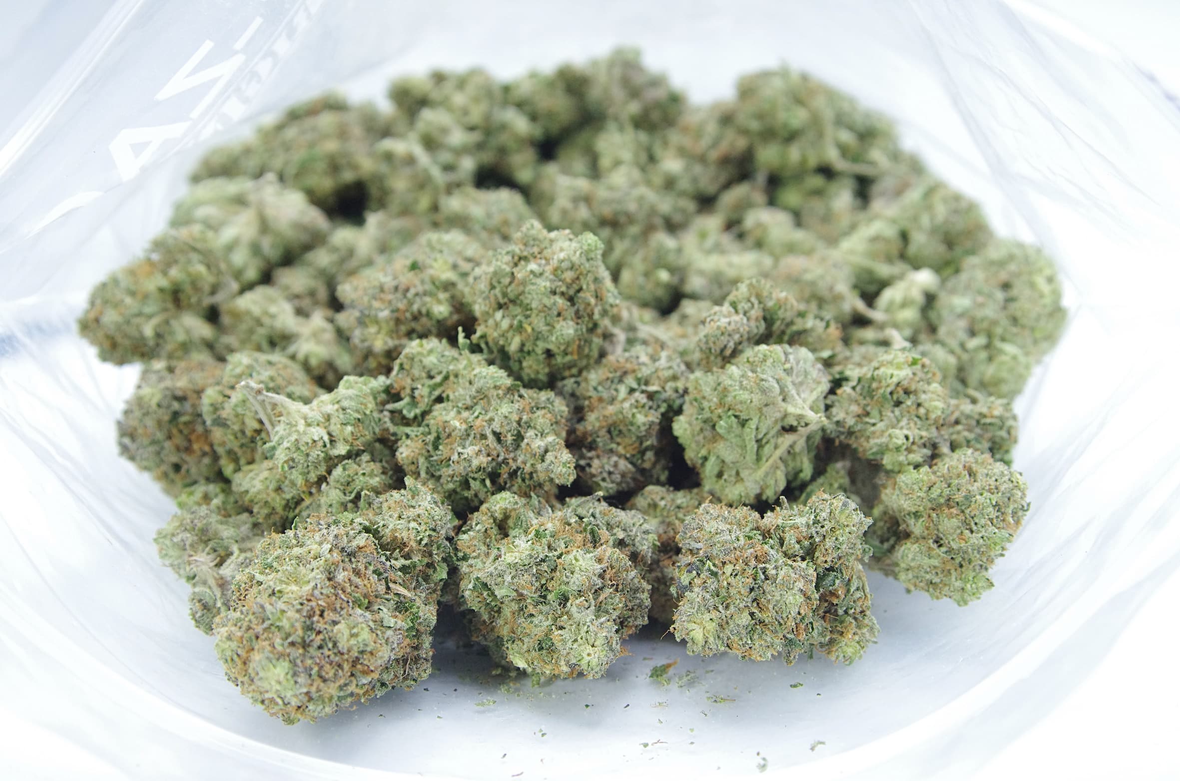 Pink Glue (Oz Special) Indica anxiety Pink Glue (Oz Special) Indica anxiety