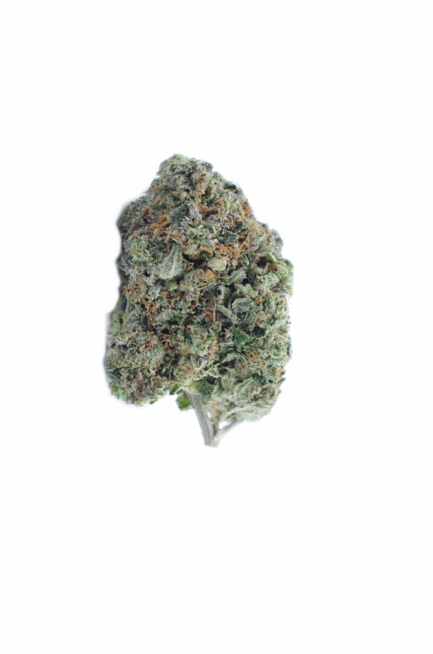 Pink Glue (Oz Special) Indica anxiety Pink Glue (Oz Special) Indica anxiety
