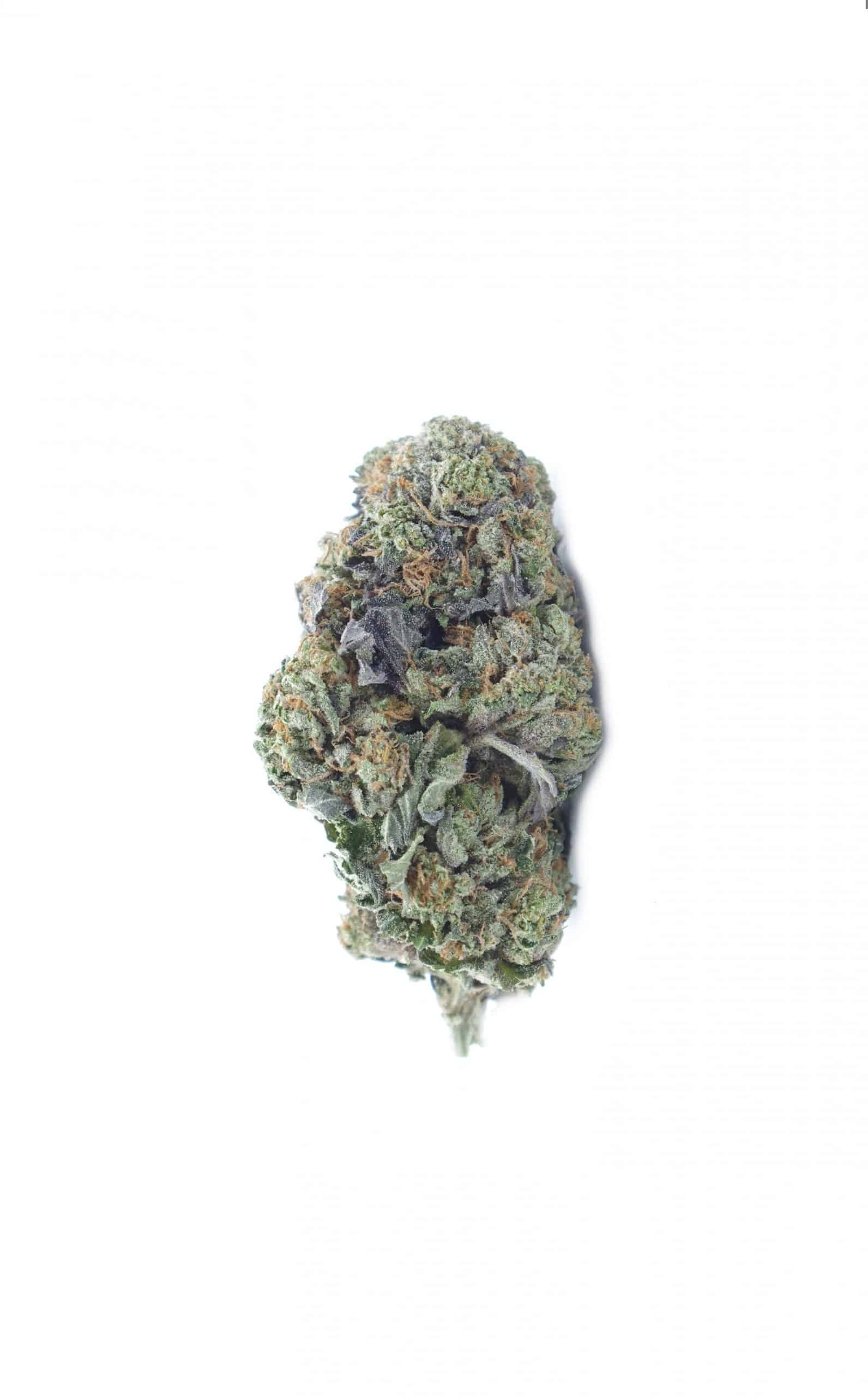 Pink Gorilla All Strains anti-anxiety Pink Gorilla All Strains anti-anxiety