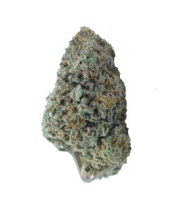 buy pink biscotti online