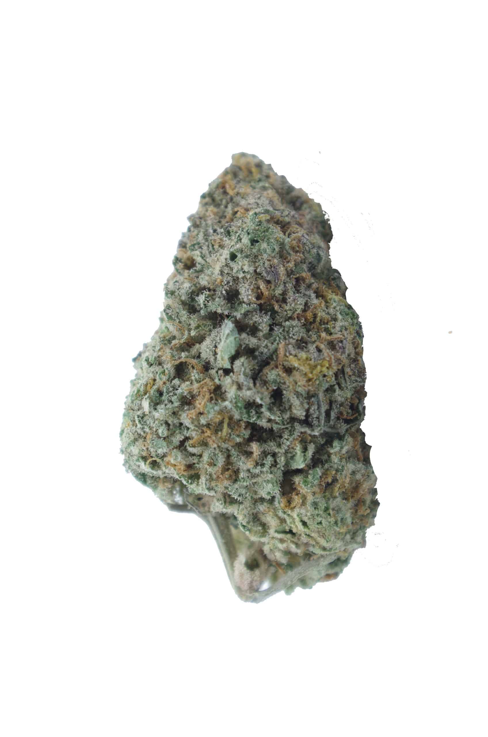 Pink Biscotti (Oz Special) All Strains anxiety Pink Biscotti (Oz Special) All Strains anxiety