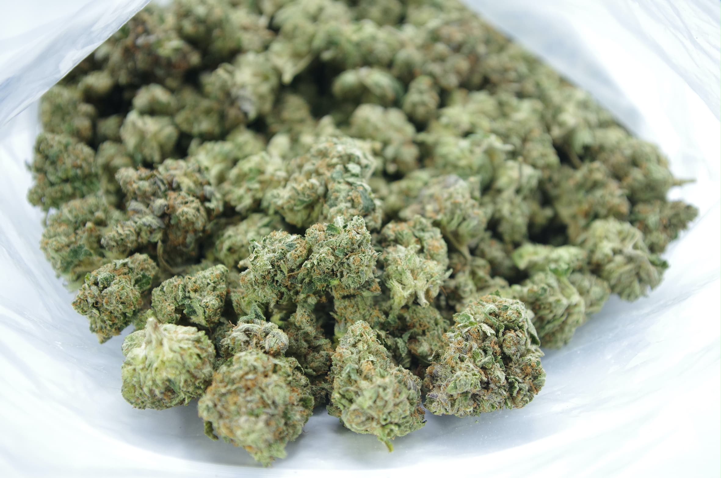 Pink Cake (Oz Special) Hybrid anti-anxiety Pink Cake (Oz Special) Hybrid anti-anxiety