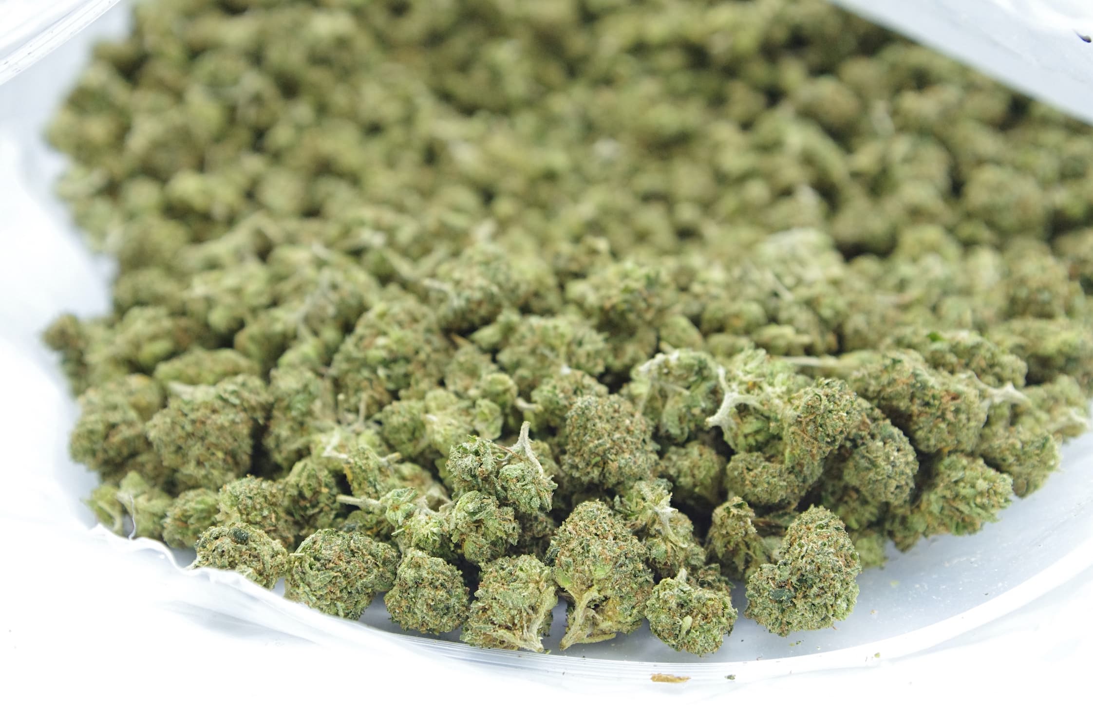 Pink Gas Smalls (Oz Special) Indica anti-anxiety Pink Gas Smalls (Oz Special) Indica anti-anxiety