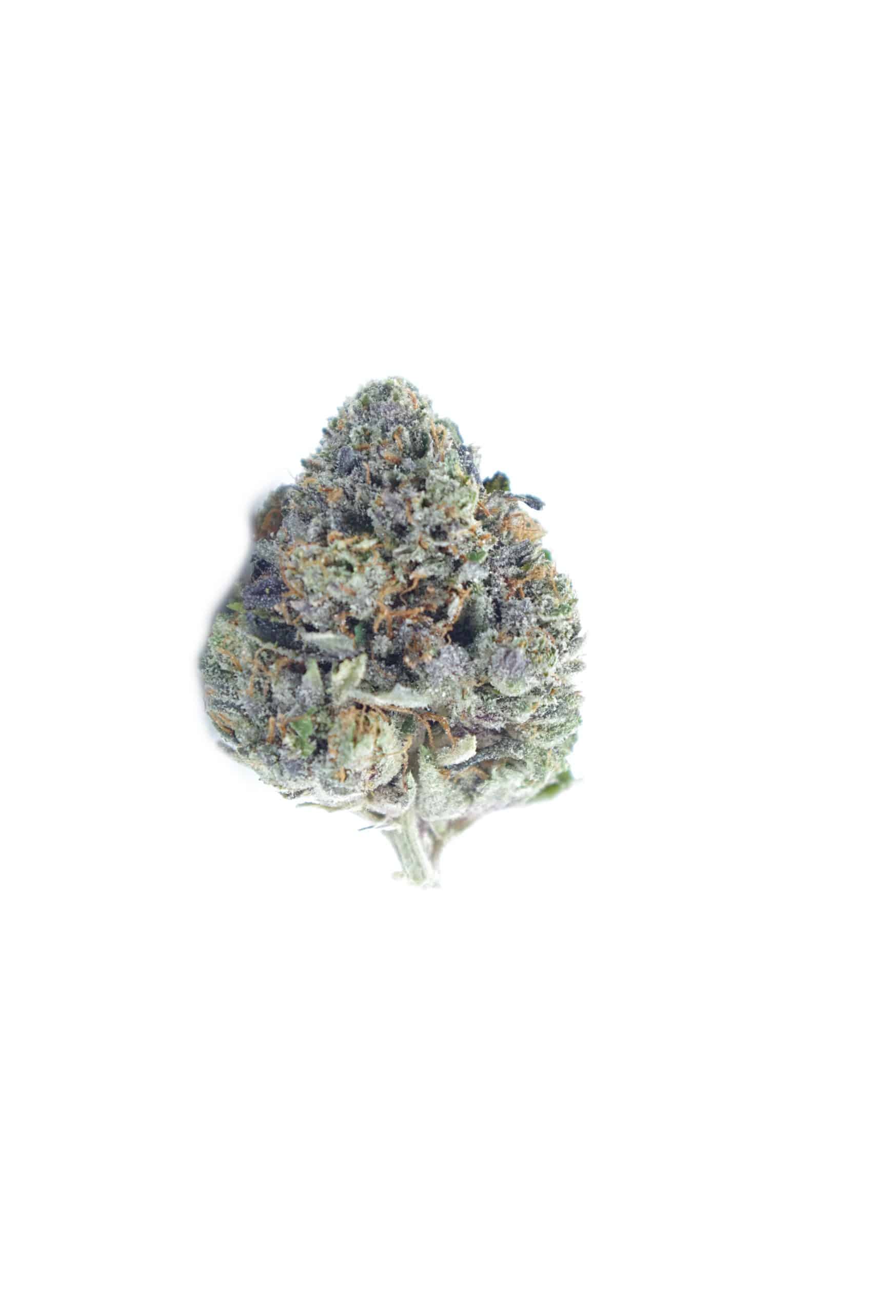 Pink Goo All Strains anti-anxiety Pink Goo All Strains anti-anxiety