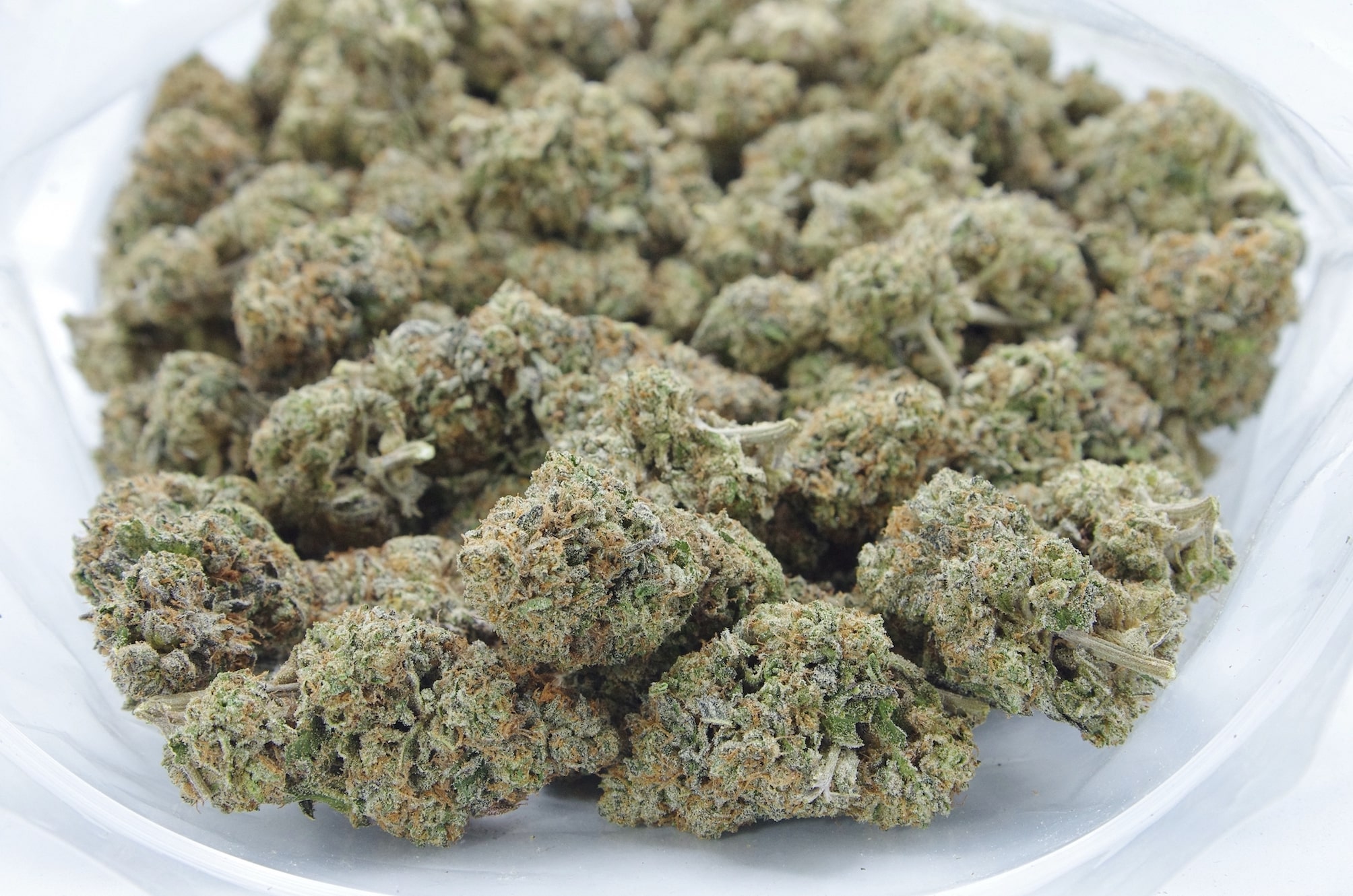 Platinum Cookies (Oz Special) Hybrid anti-anxiety Platinum Cookies (Oz Special) Hybrid anti-anxiety