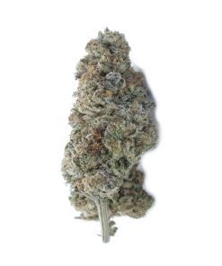 buy platinum cookies online