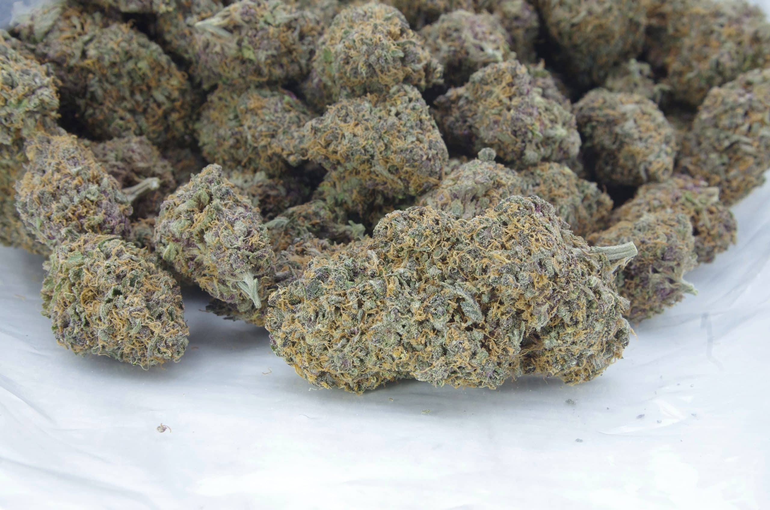 Purple Runtz (Oz Special) All Strains anti-anxiety Purple Runtz (Oz Special) All Strains anti-anxiety